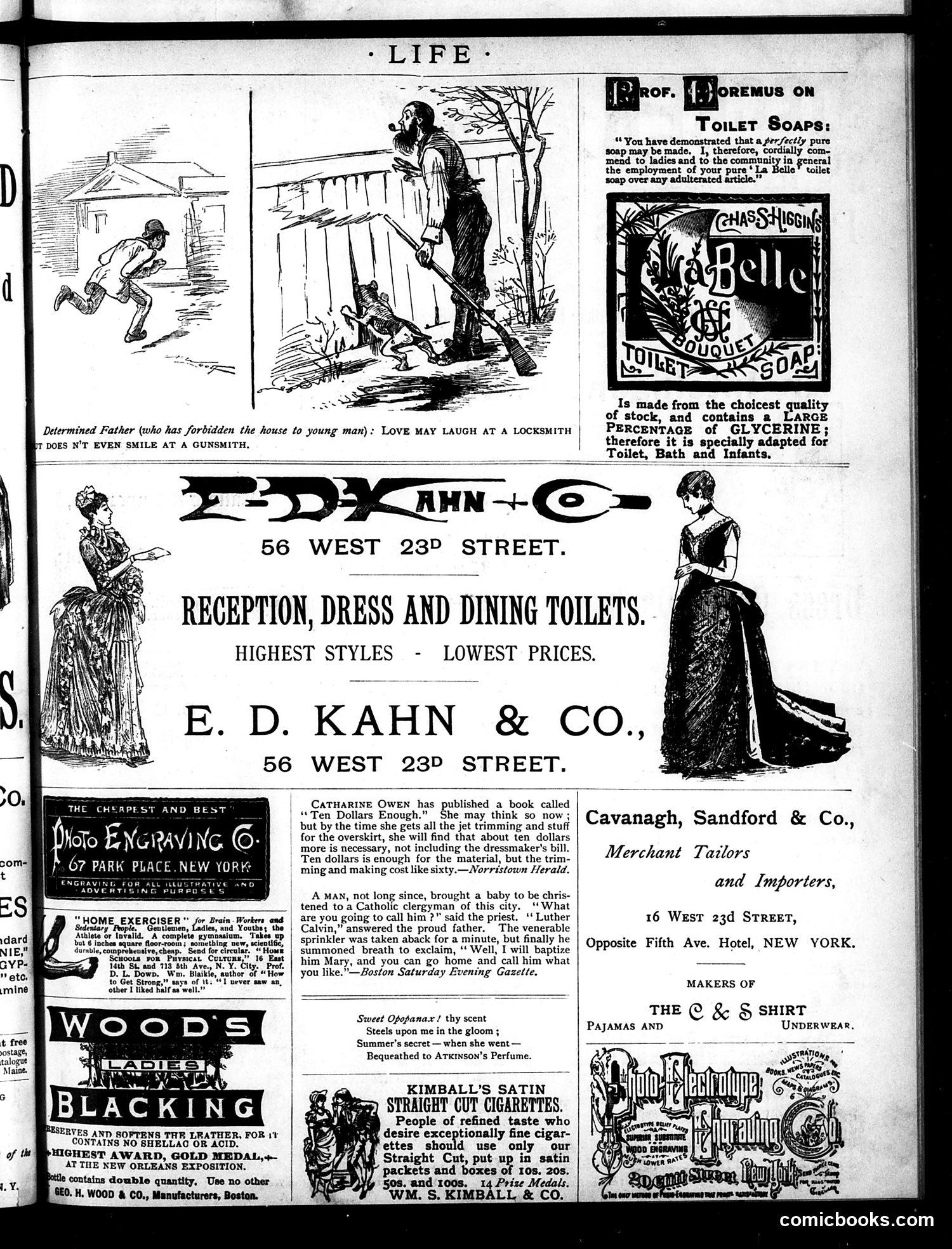 Life — December 2, 1886 — page 15 of 16