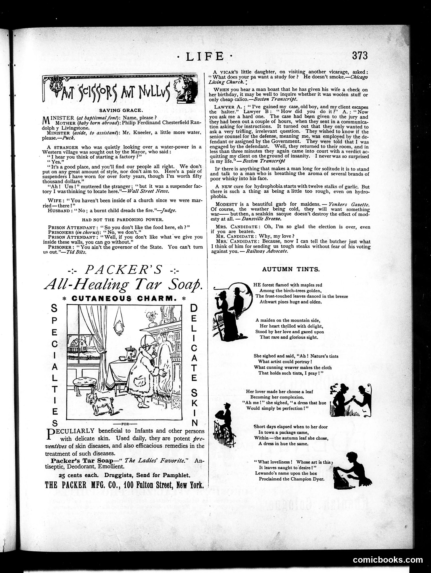 Life — December 9, 1886 — page 25 of 36