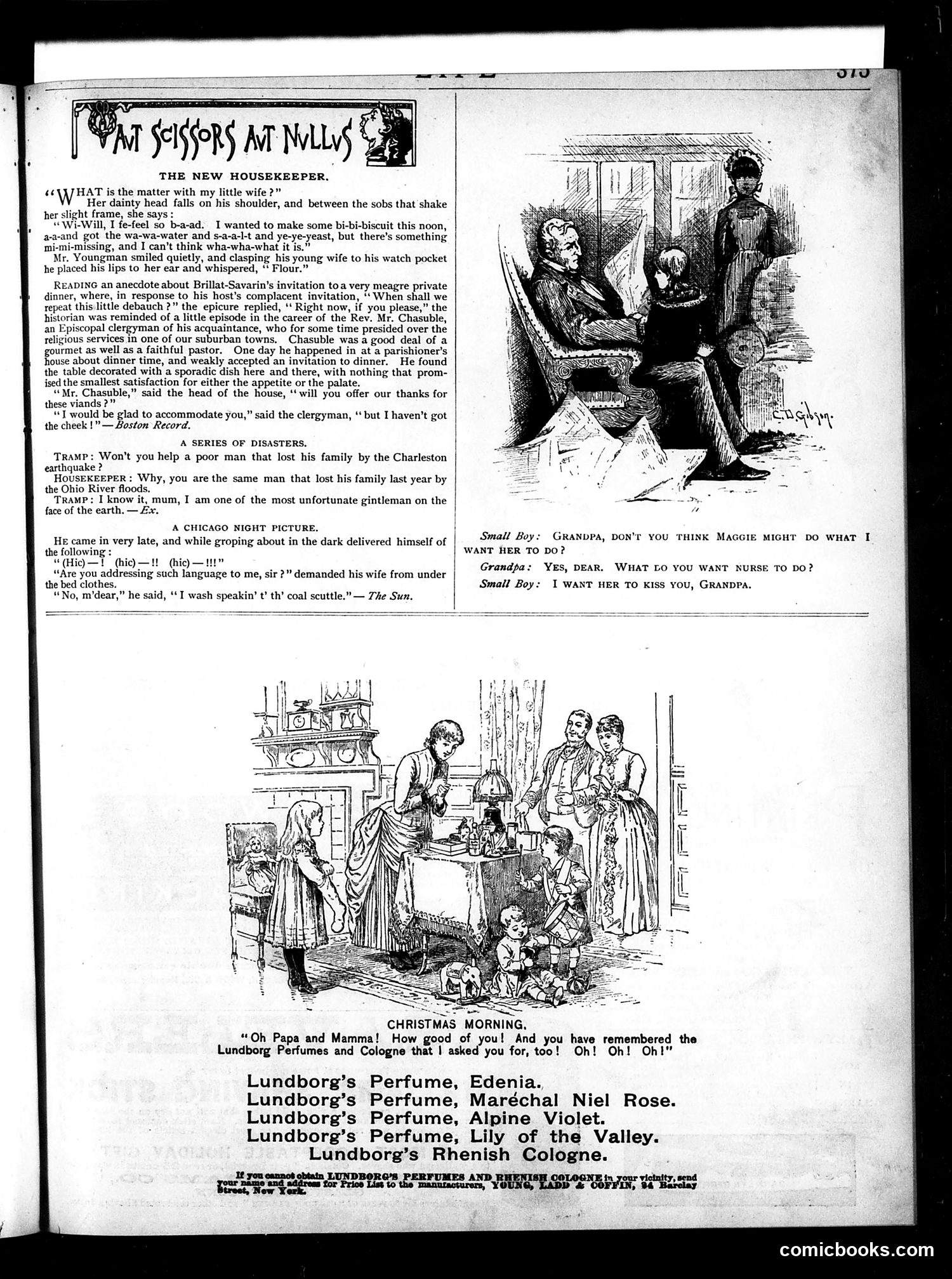 Life — December 9, 1886 — page 27 of 36