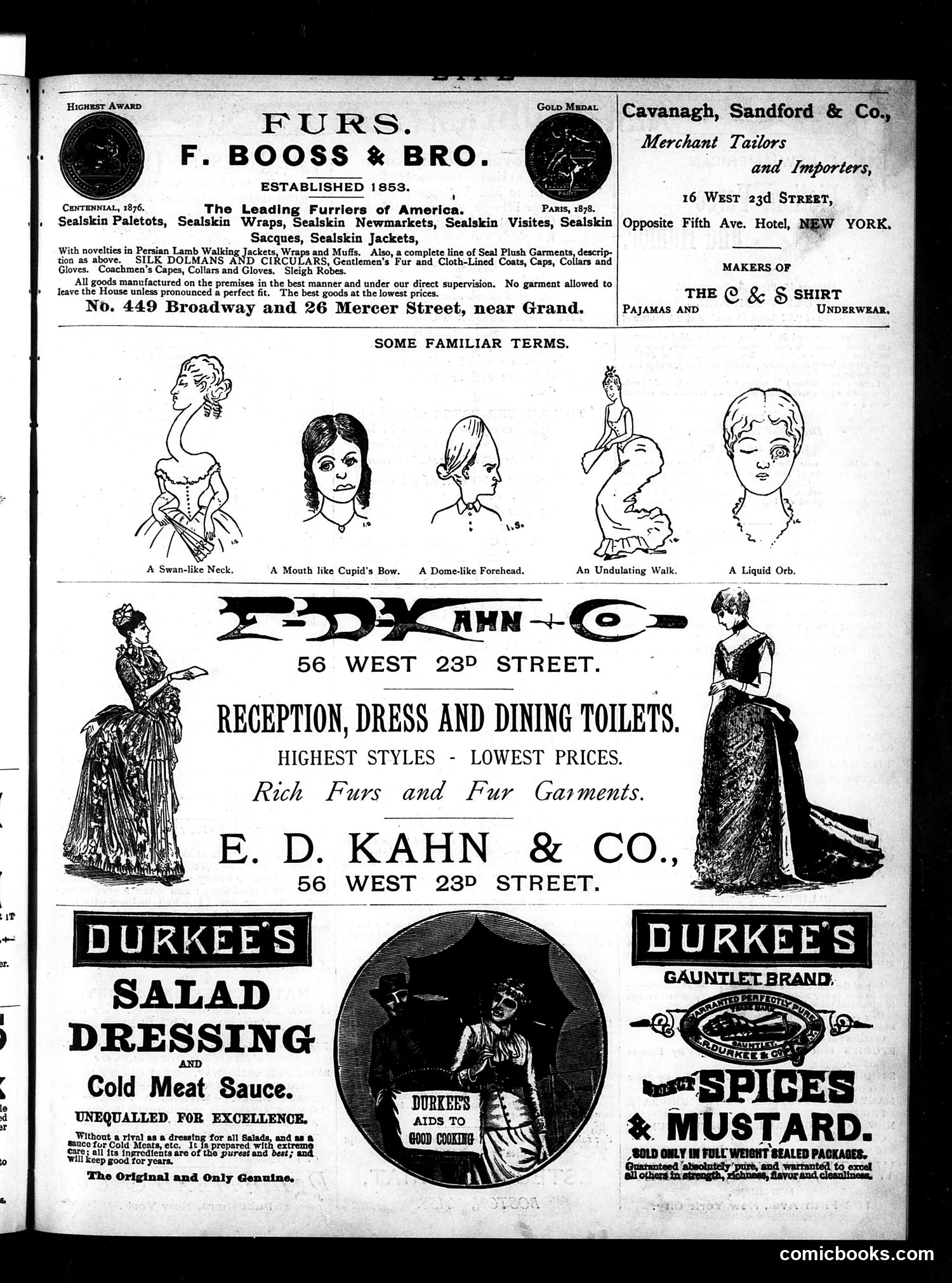 Life — December 9, 1886 — page 29 of 36