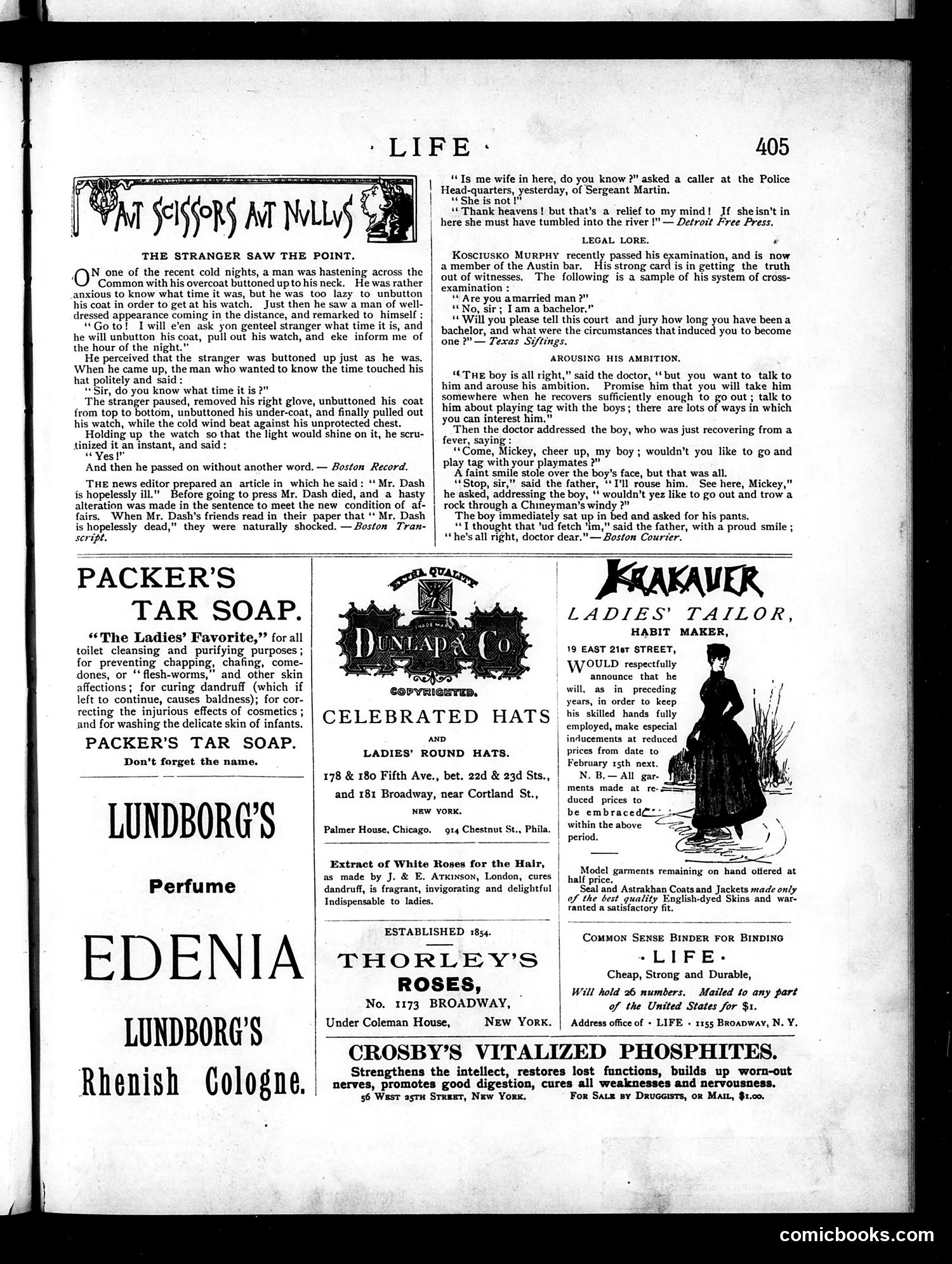 Life — December 23, 1886 — page 13 of 18