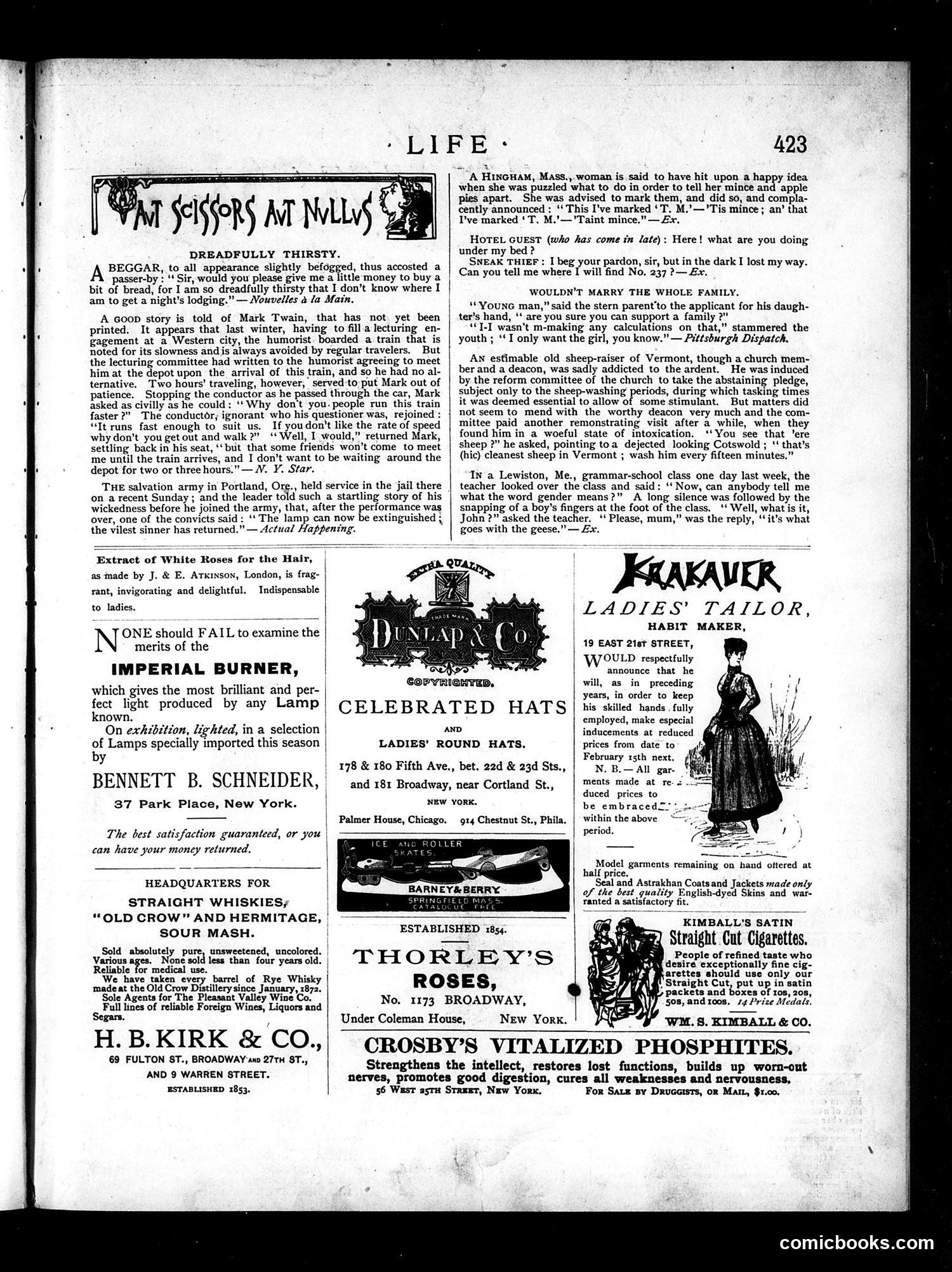 Life — December 30, 1886 — page 13 of 19