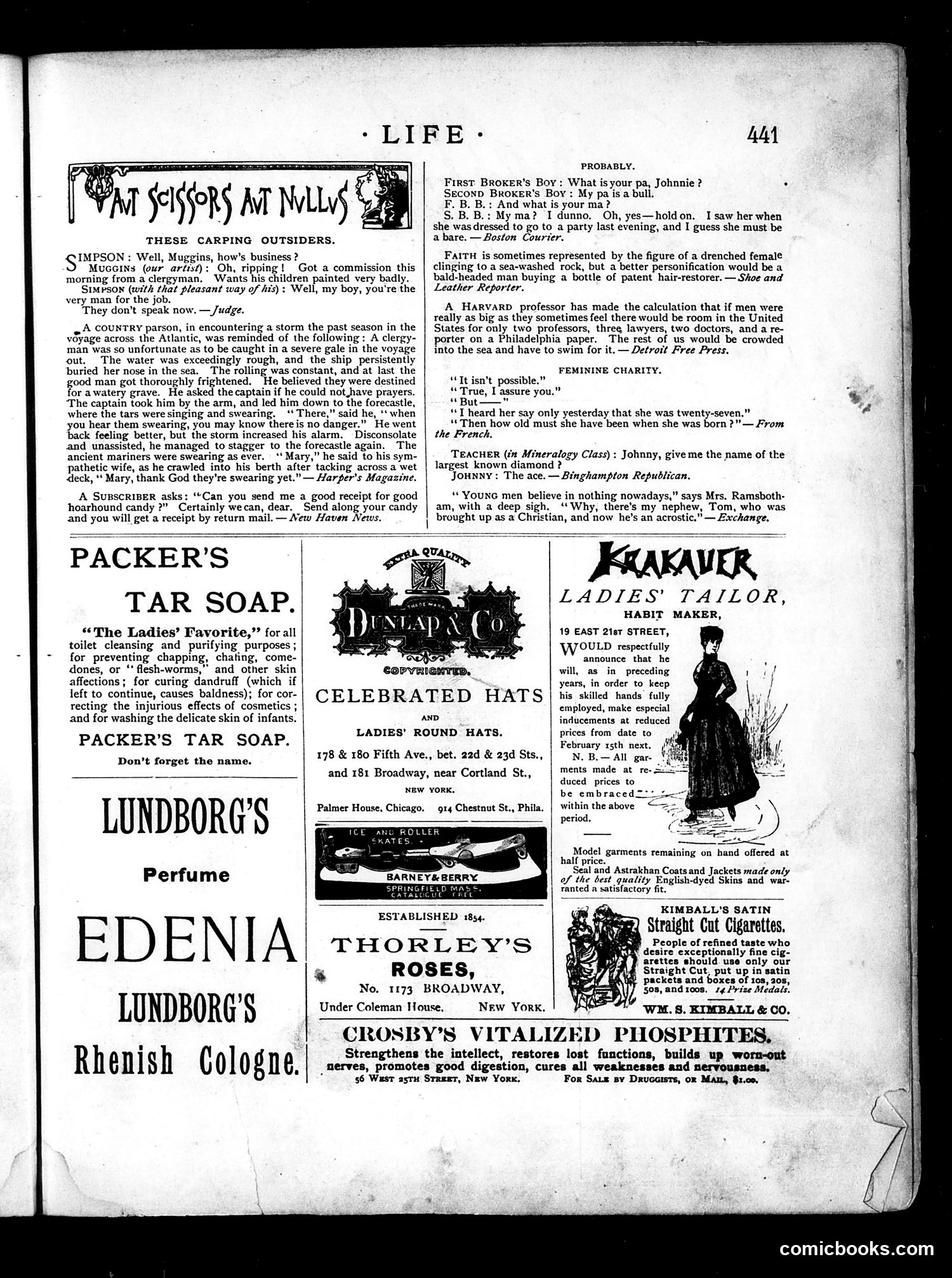 Life — January 6, 1887 — page 13 of 16