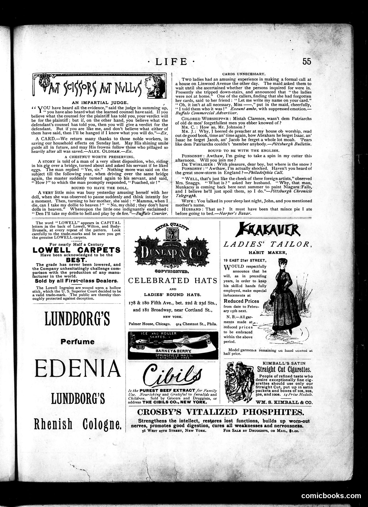Life — January 27, 1887 — page 13 of 16