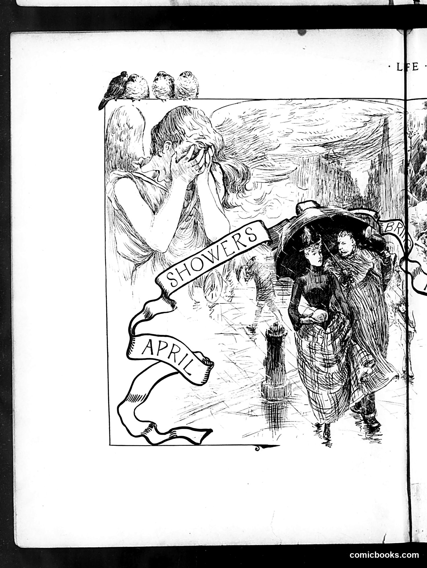 Life — May 5, 1887 — page 8 of 16