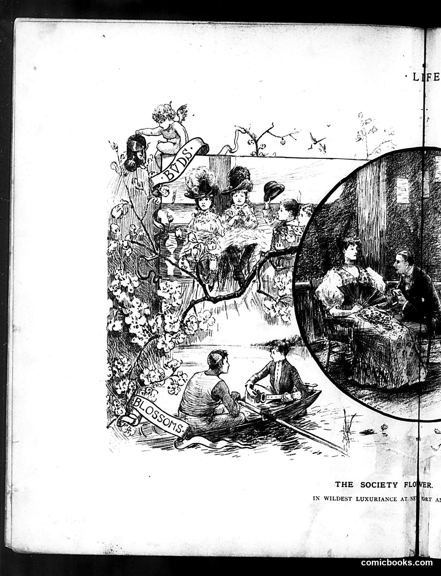 Life — July 7, 1887 — page 8 of 16