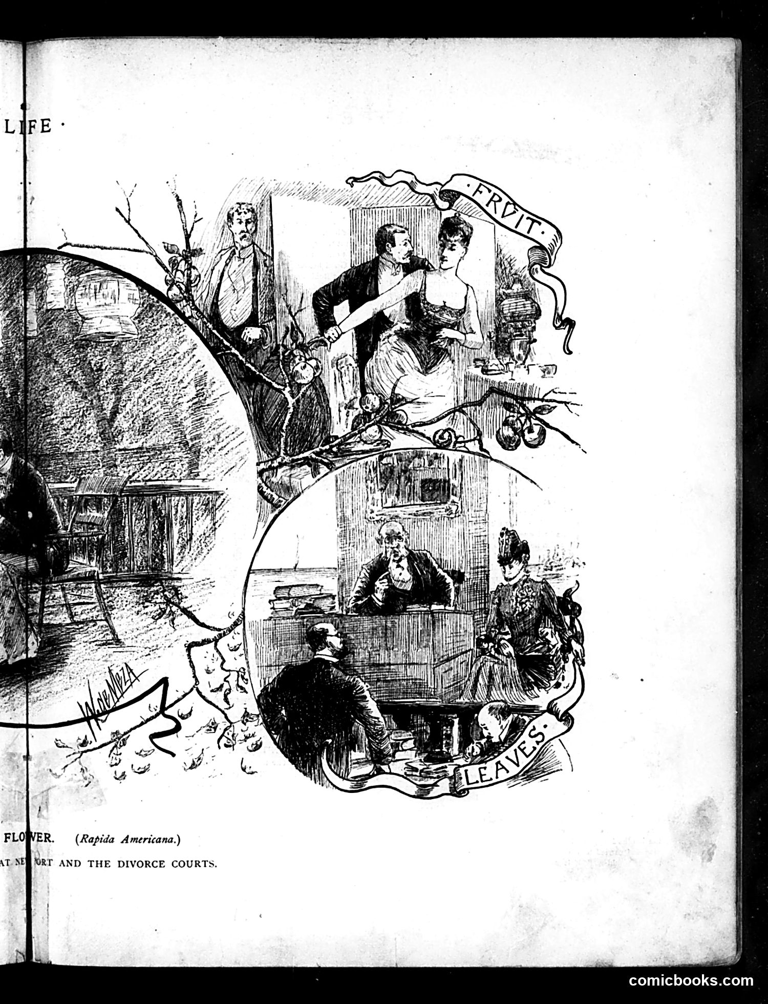 Life — July 7, 1887 — page 9 of 16