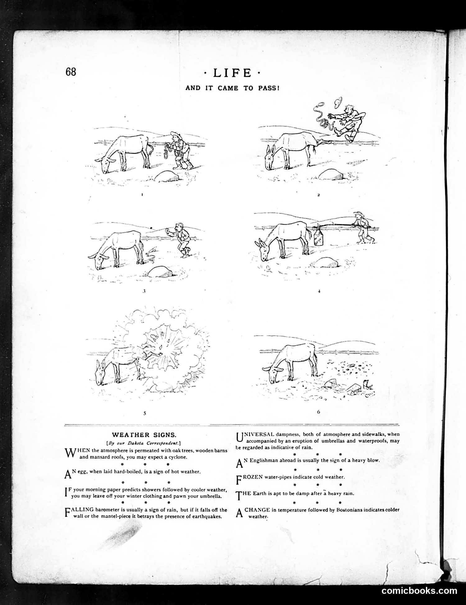 Life — August 4, 1887 — page 12 of 14