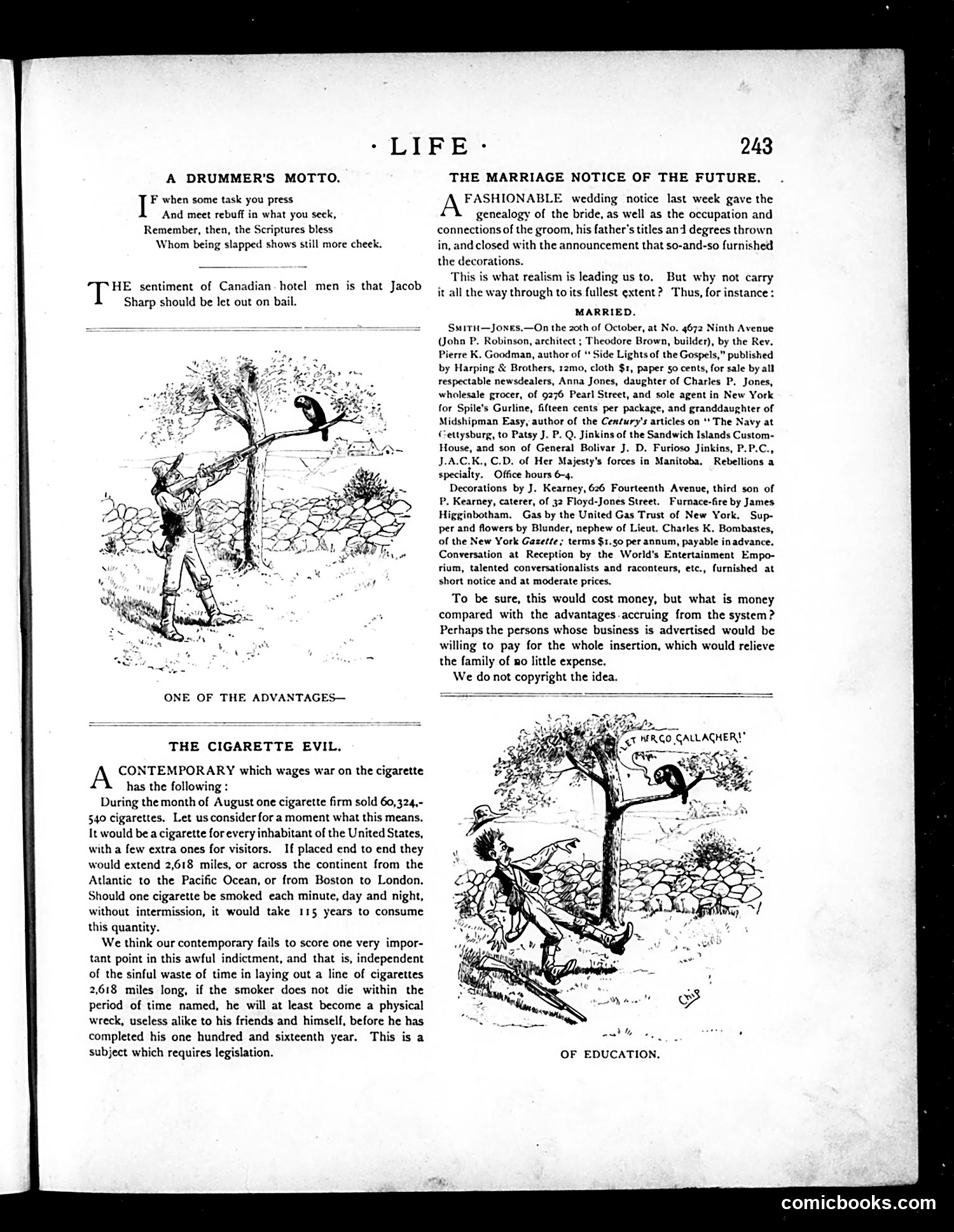 Life — November 3, 1887 — page 5 of 20