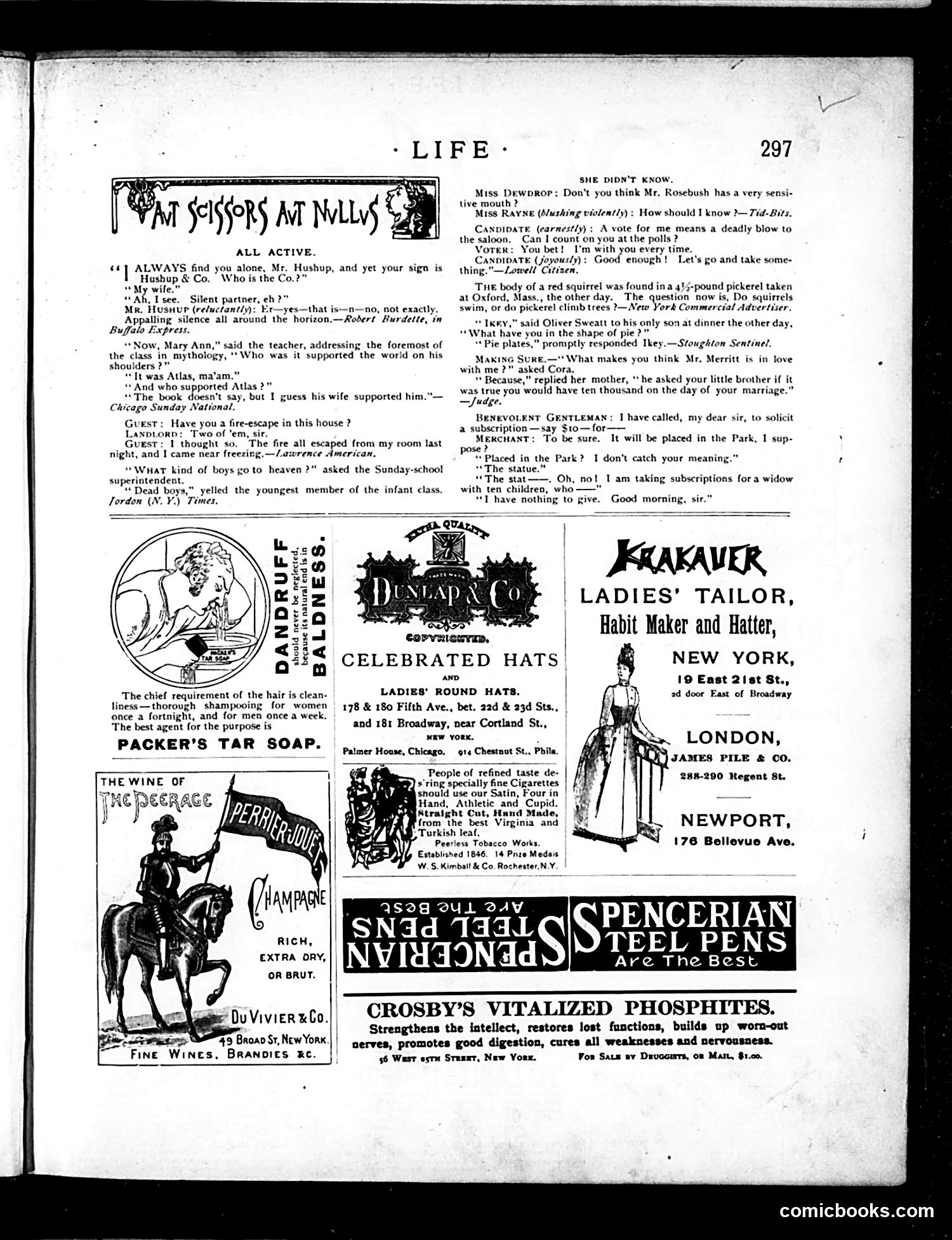 Life — November 24, 1887 — page 15 of 20