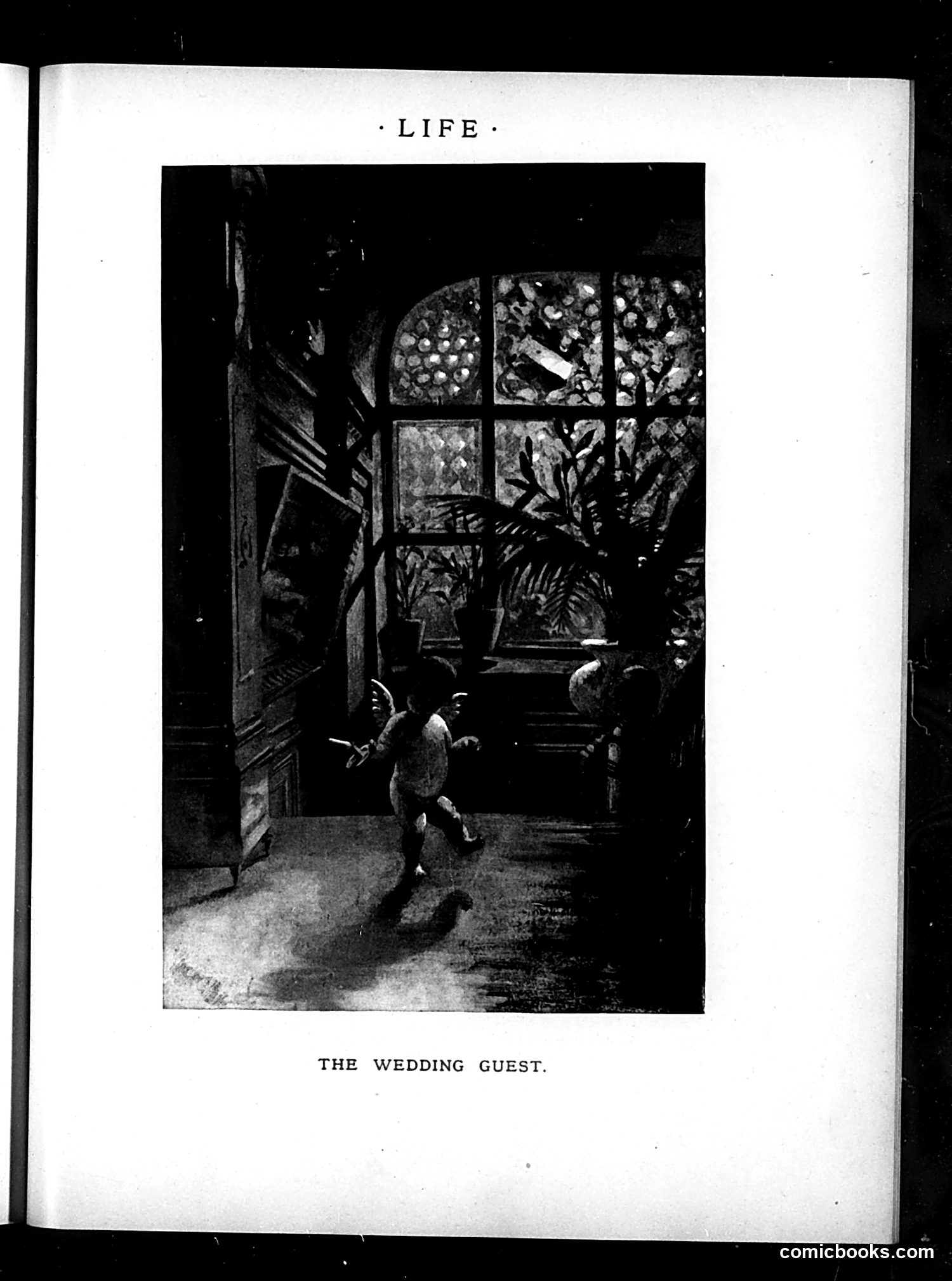 Life — December 8, 1887 — page 17 of 42