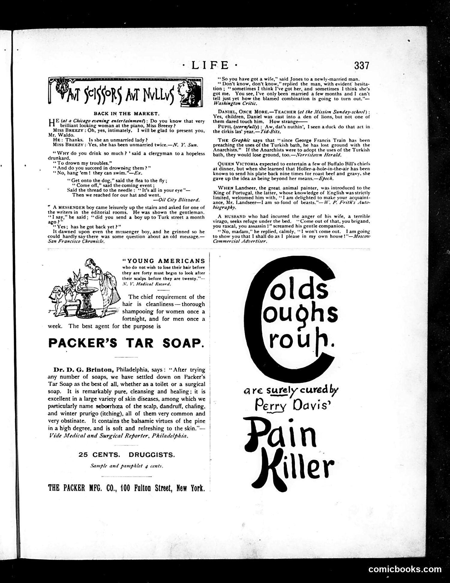 Life — December 8, 1887 — page 31 of 42