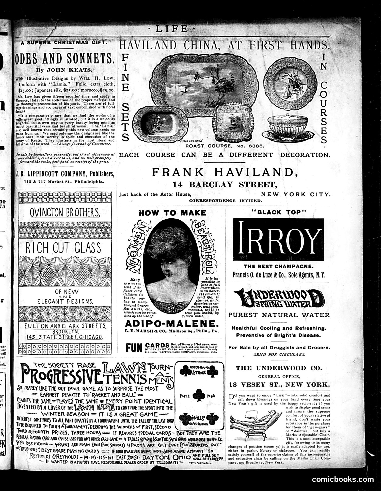 Life — December 29, 1887 — page 19 of 21