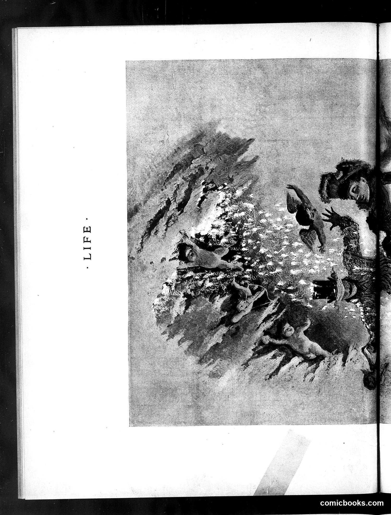 Life — February 16, 1888 — page 10 of 20