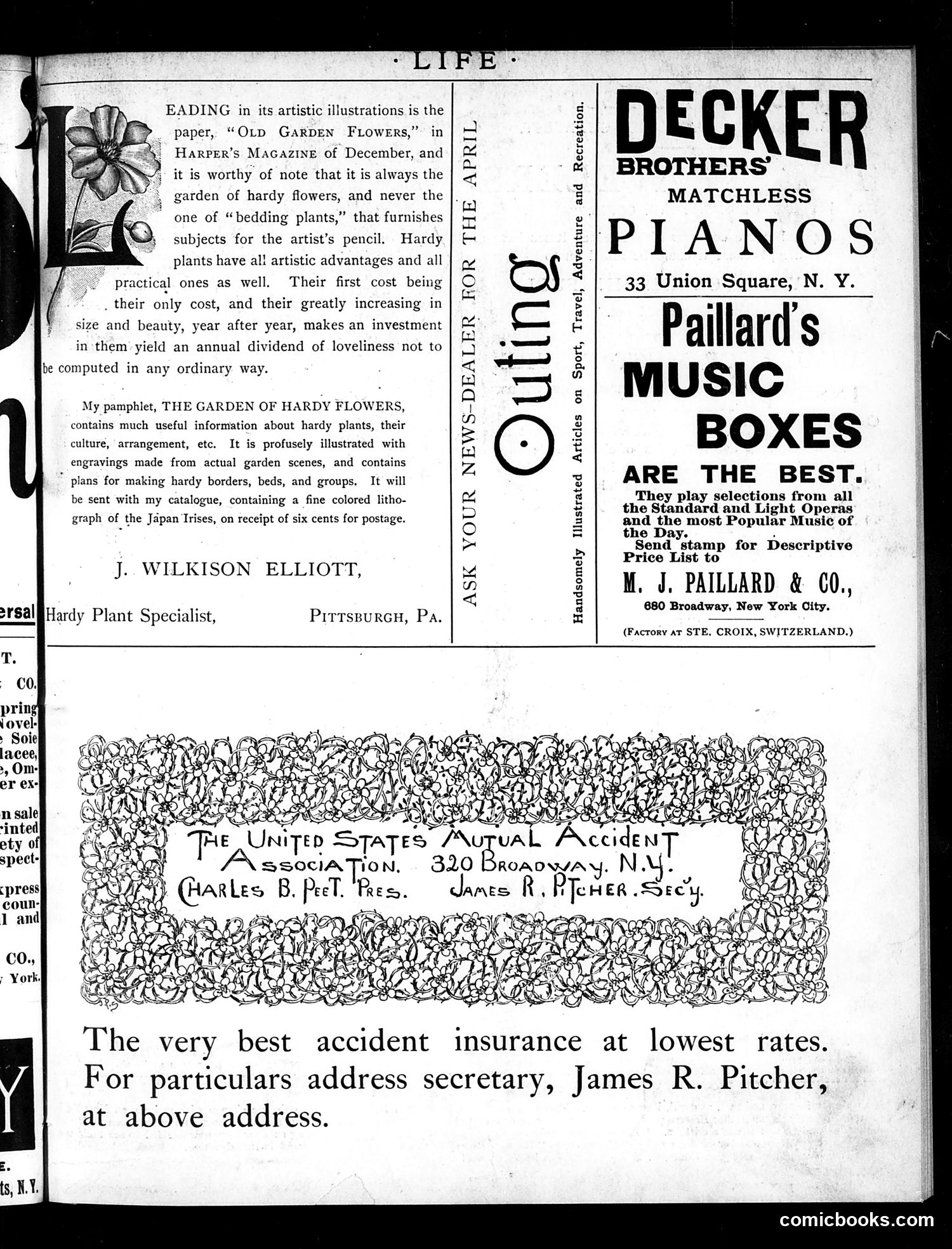 Life — April 5, 1888 — page 19 of 20