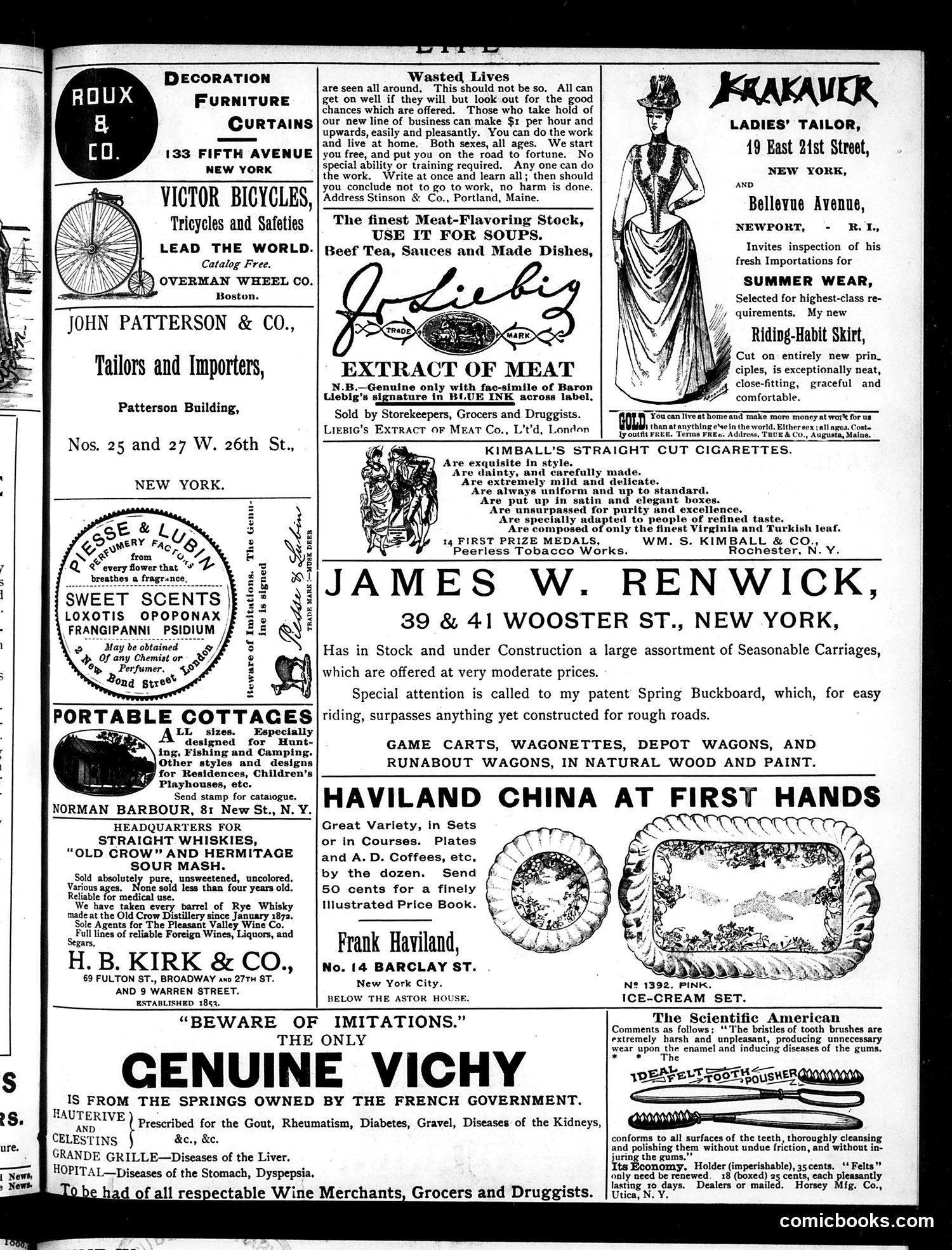 Life — May 3, 1888 — page 15 of 16