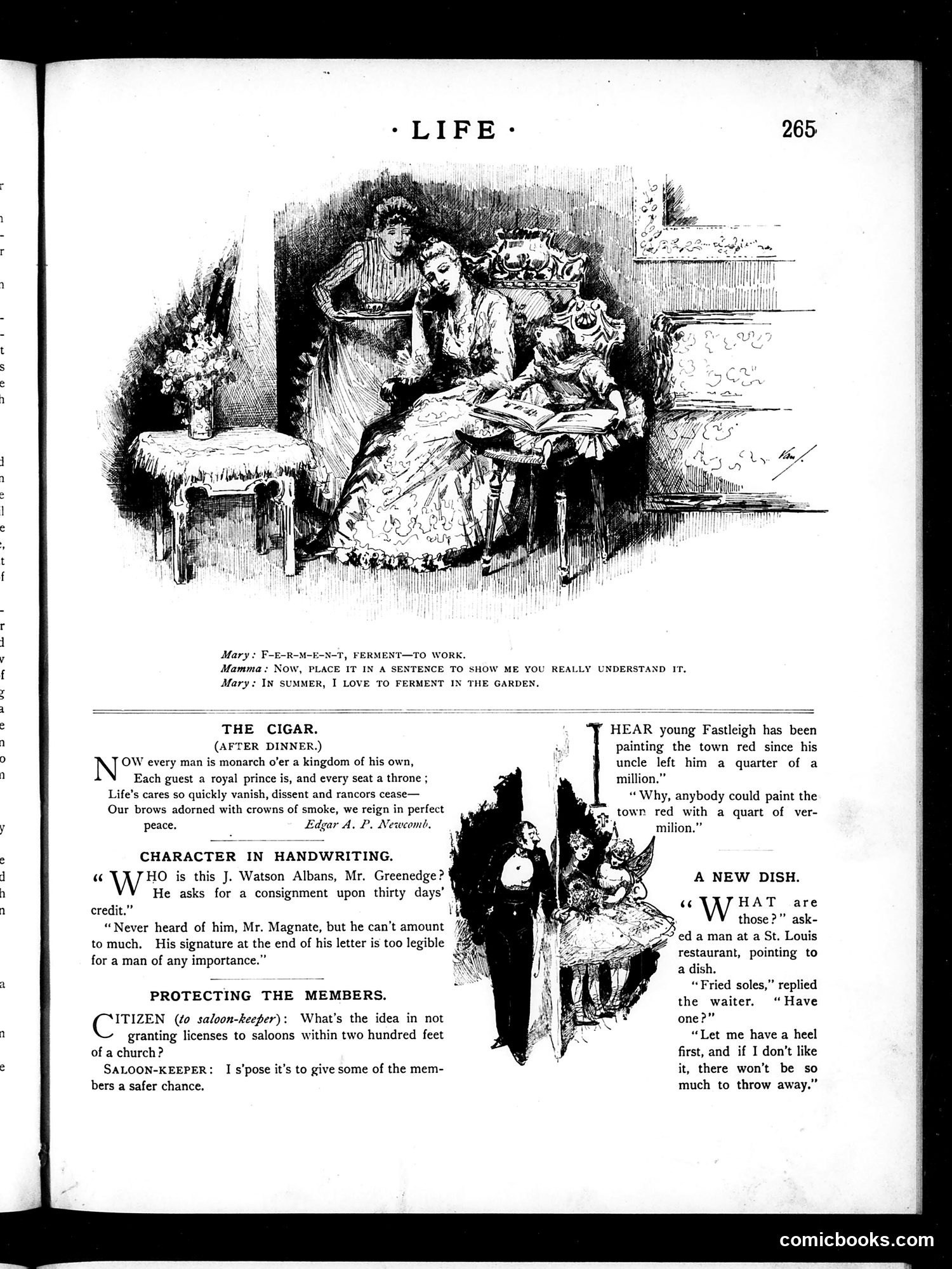 Life — May 10, 1888 — page 7 of 16
