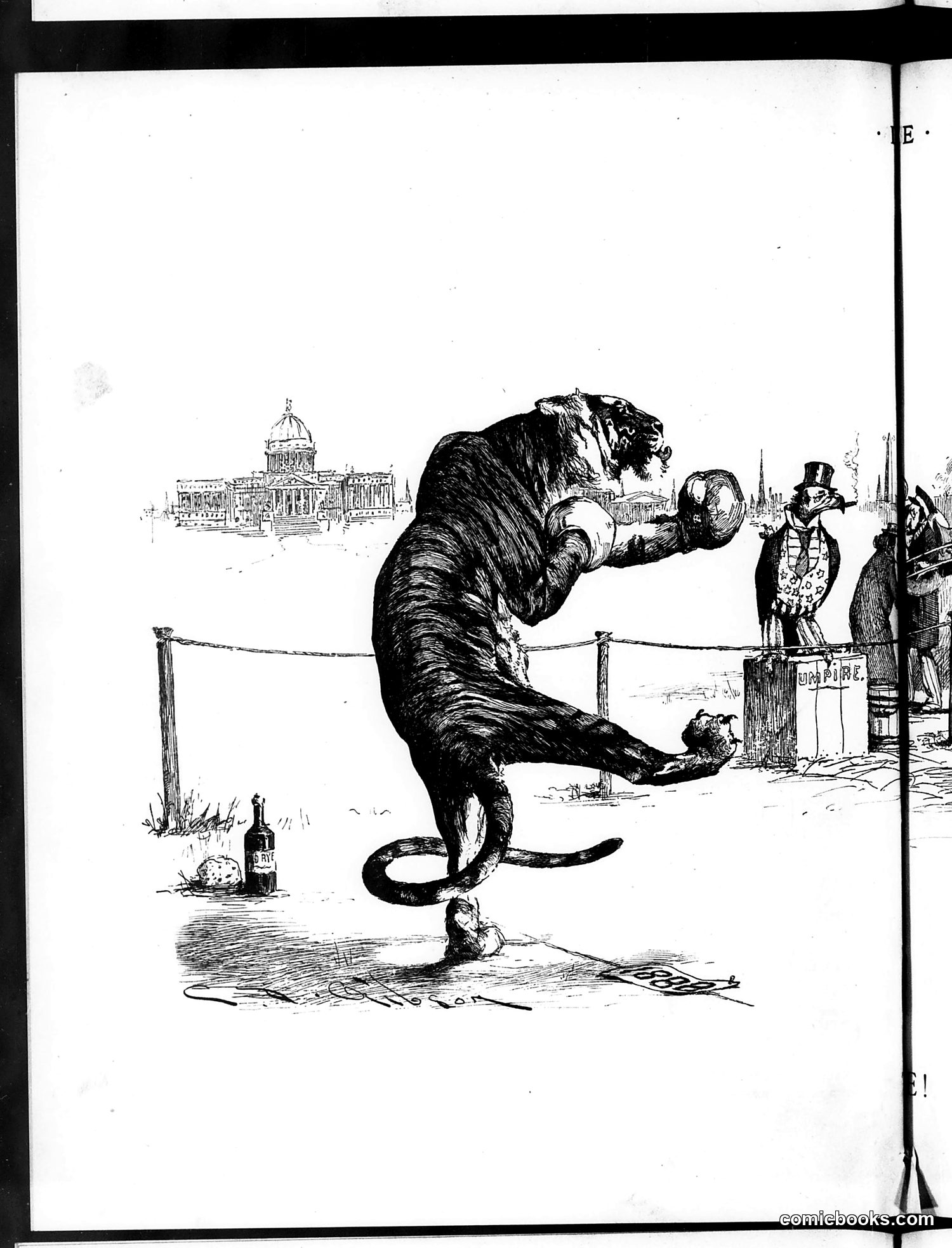 Life — May 10, 1888 — page 8 of 16