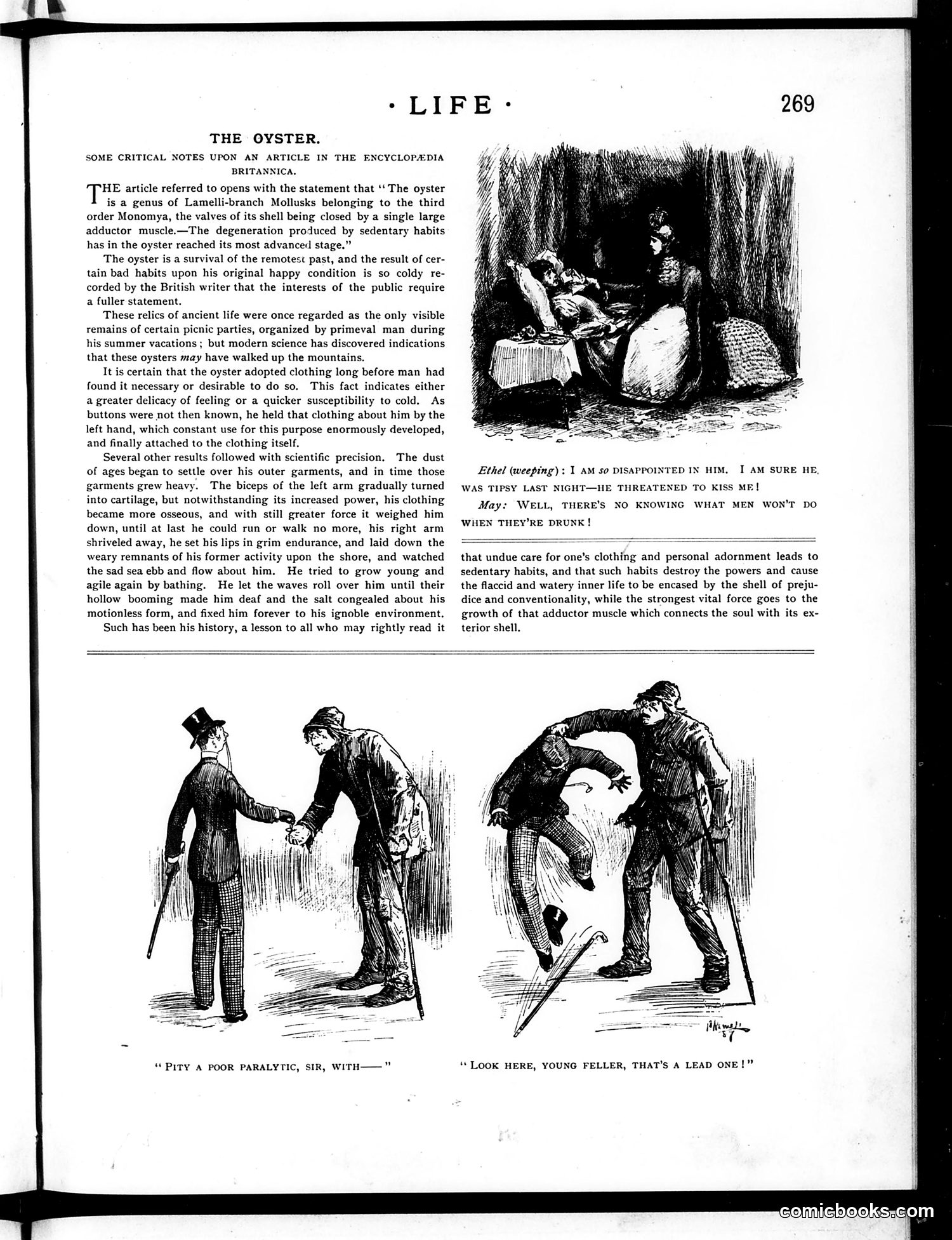 Life — May 10, 1888 — page 11 of 16