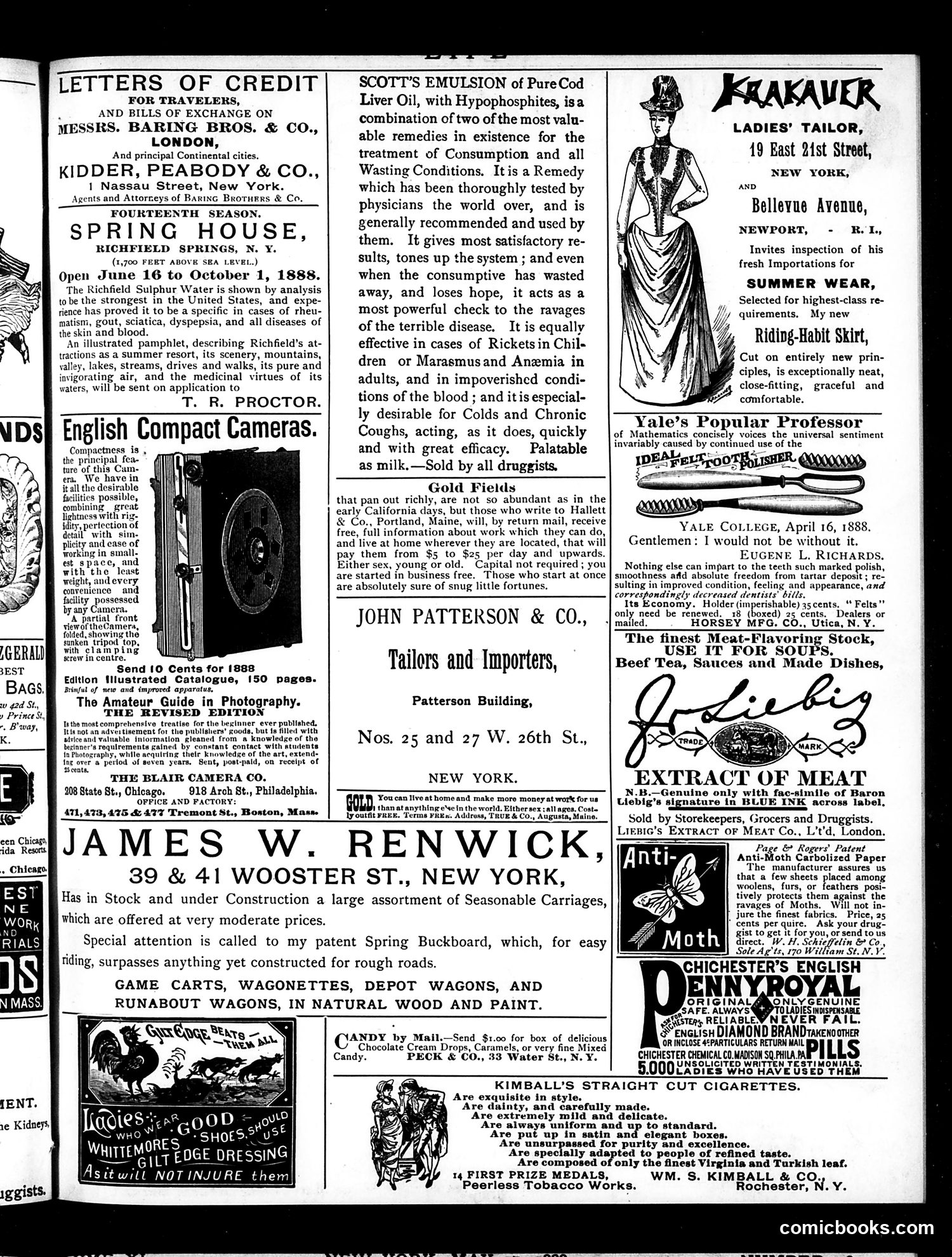 Life — May 10, 1888 — page 15 of 16