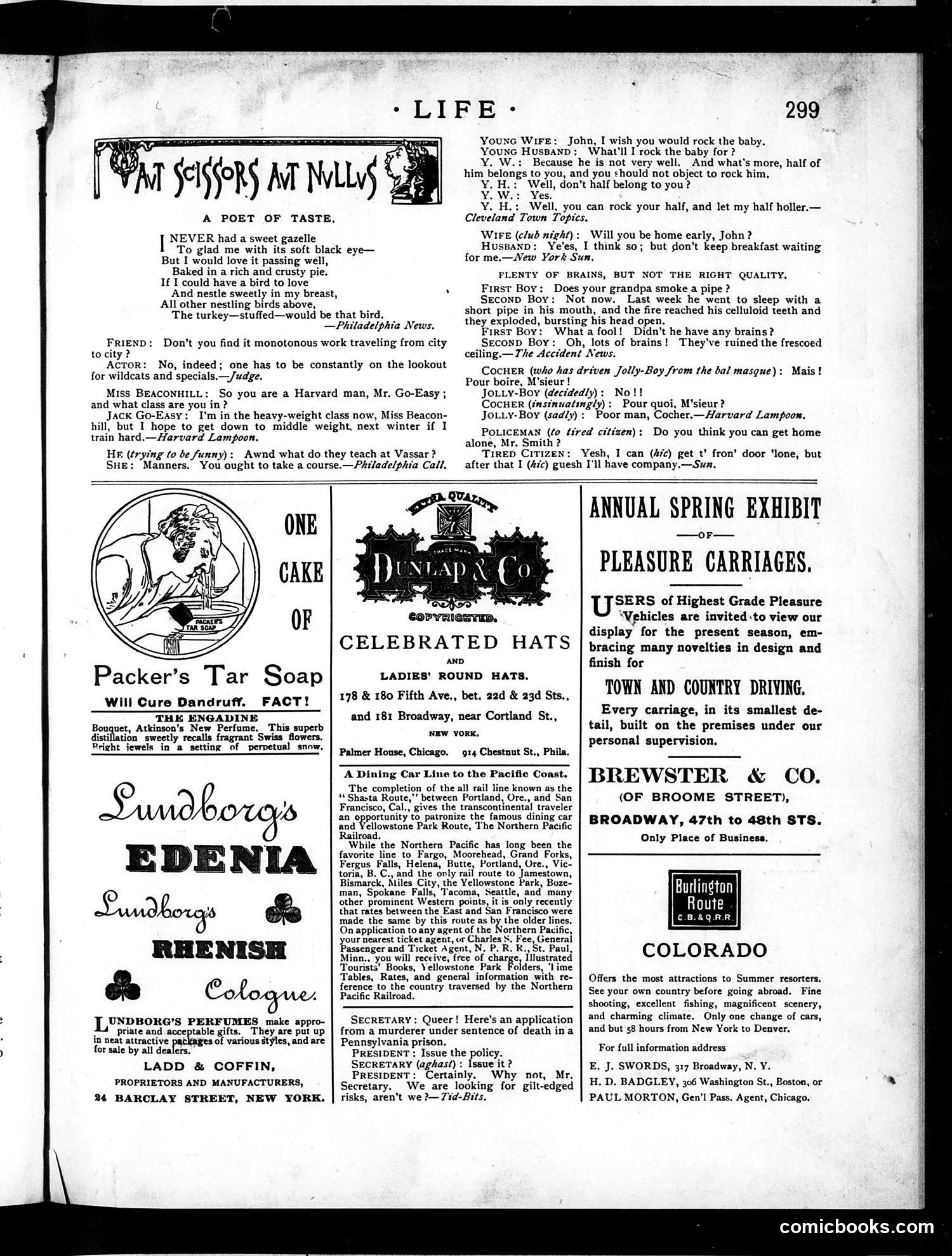 Life — May 24, 1888 — page 13 of 18