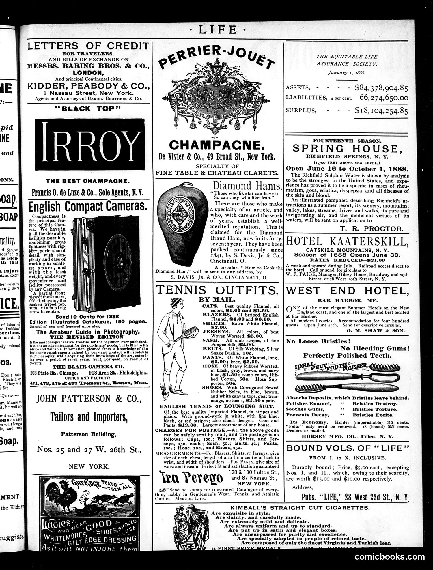 Life — June 21, 1888 — page 17 of 18
