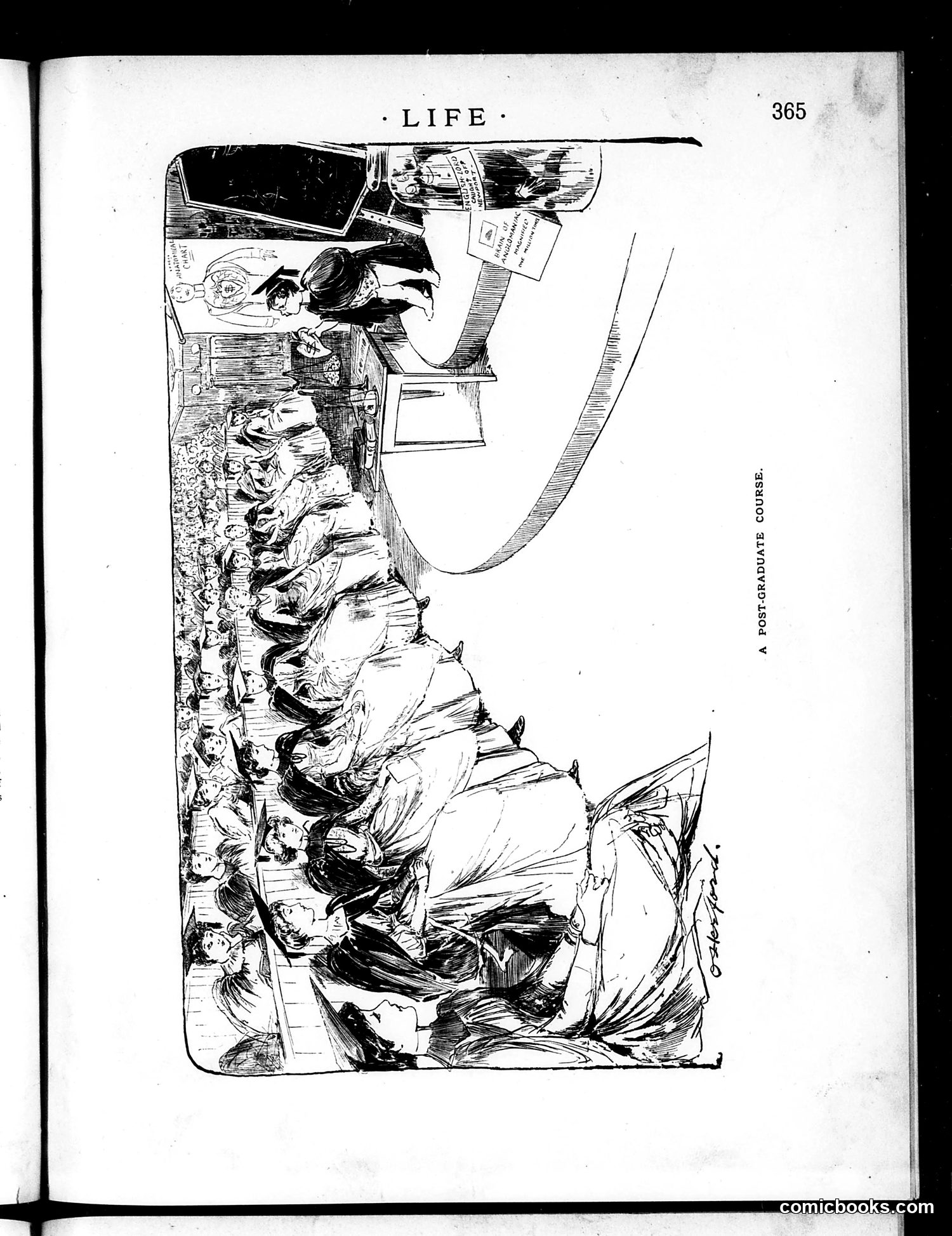 Life — June 28, 1888 — page 7 of 21