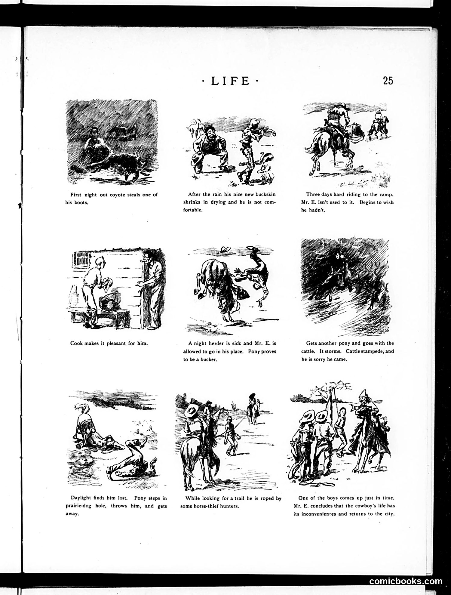 Life — July 12, 1888 — page 11 of 14