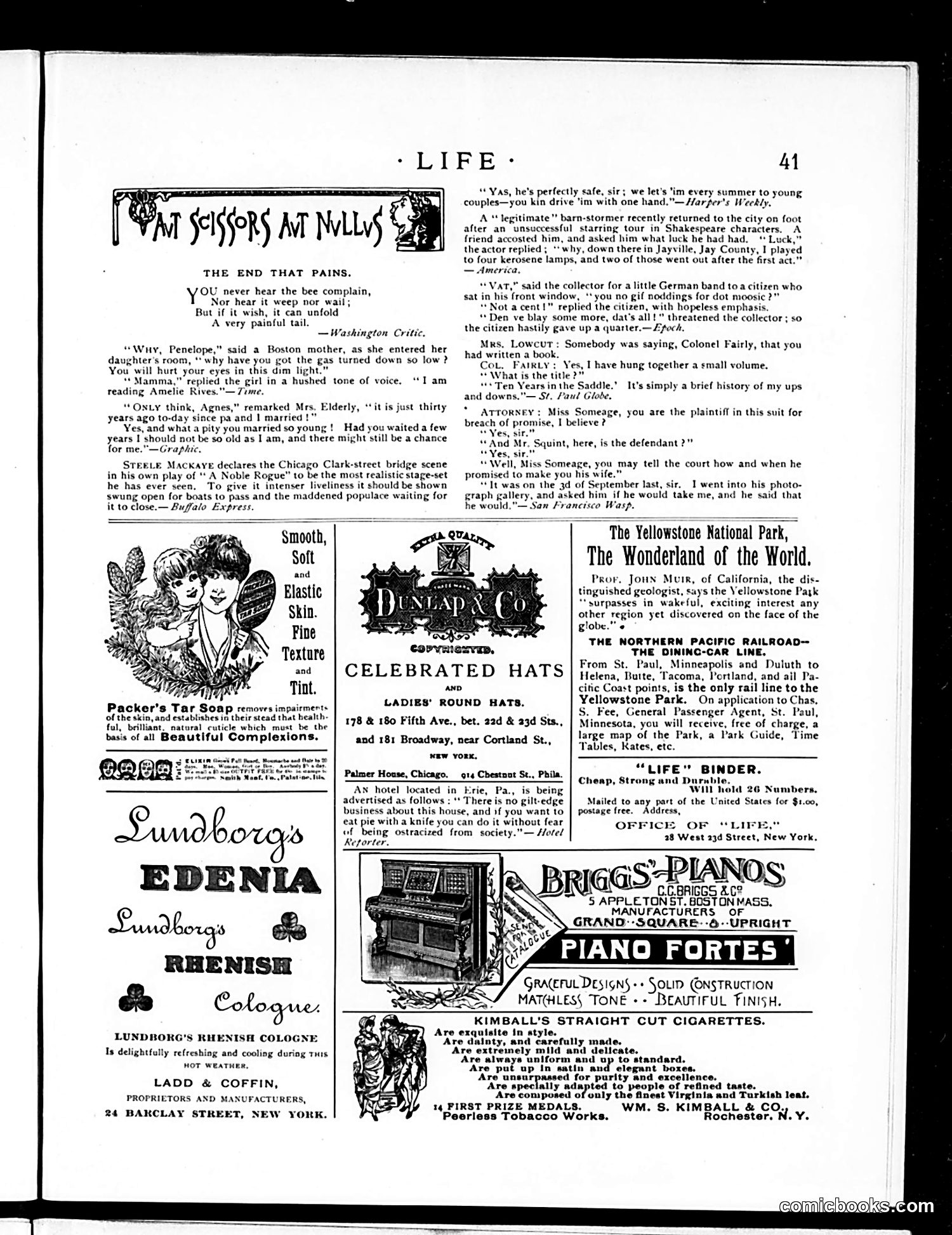 Life — July 19, 1888 — page 13 of 14