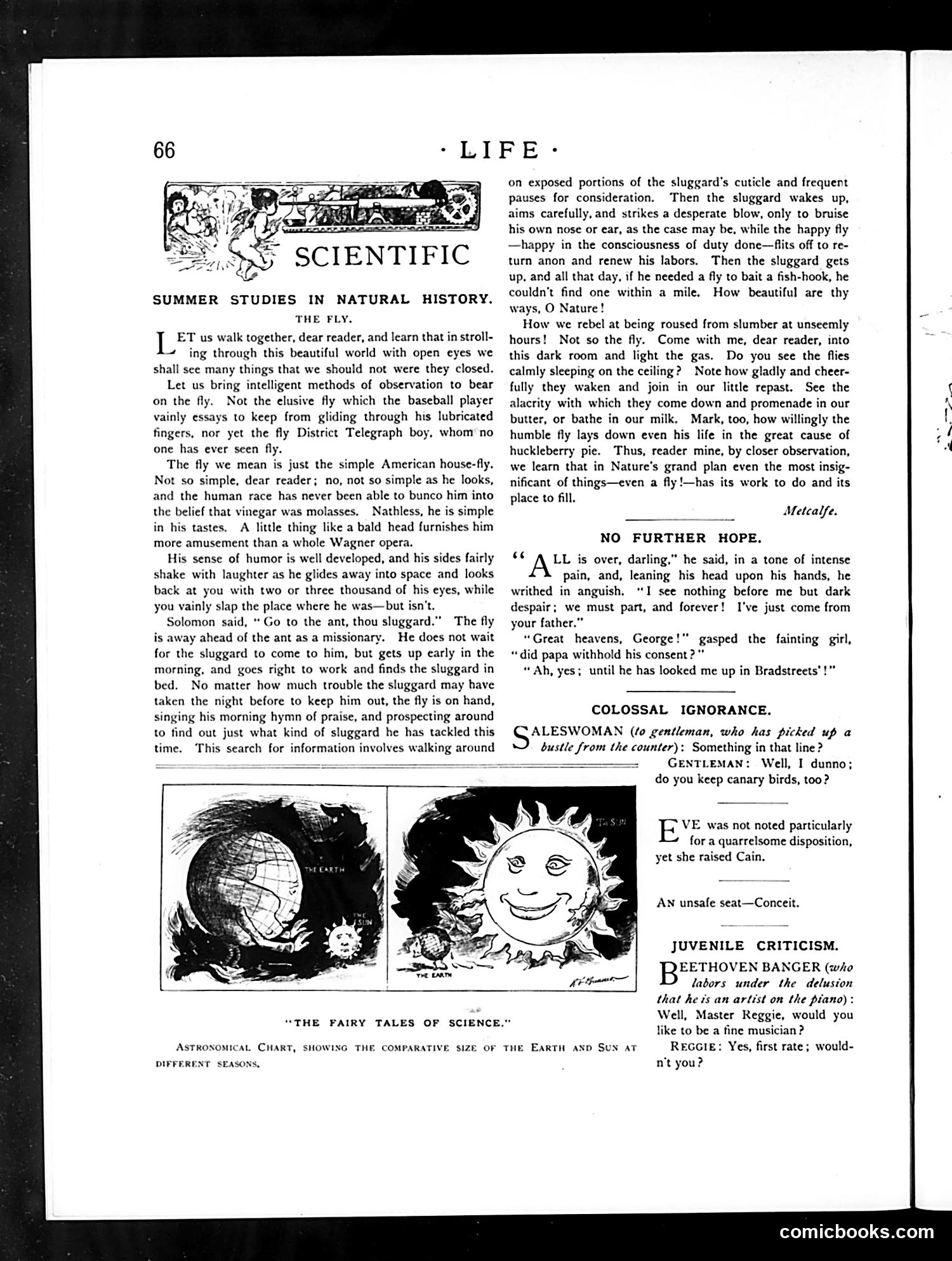 Life — August 2, 1888 — page 10 of 14