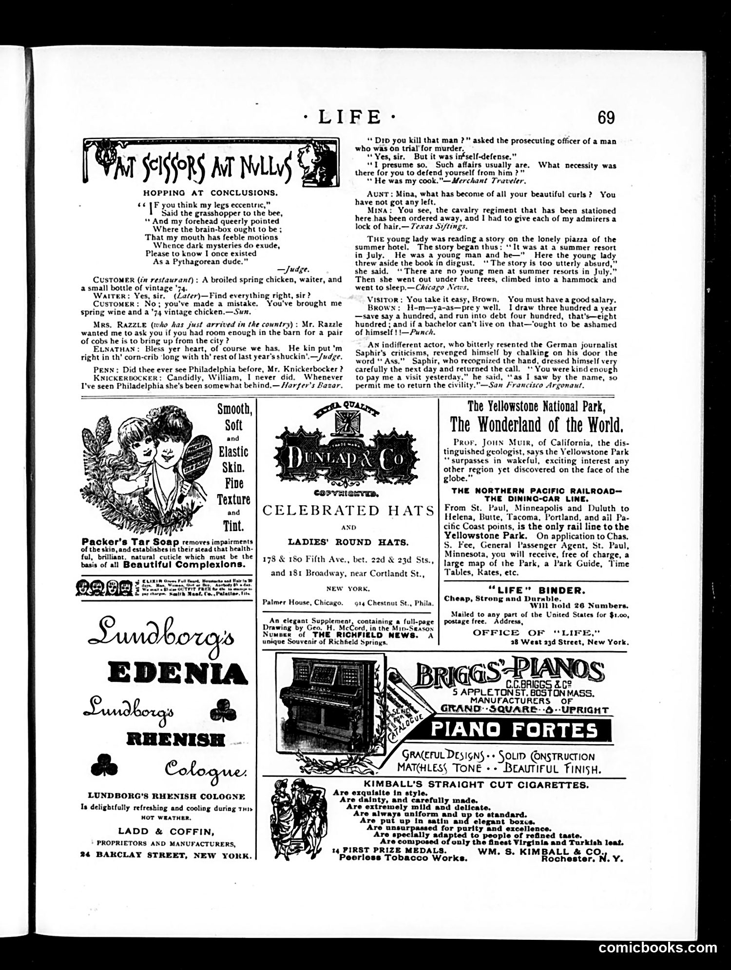 Life — August 2, 1888 — page 13 of 14