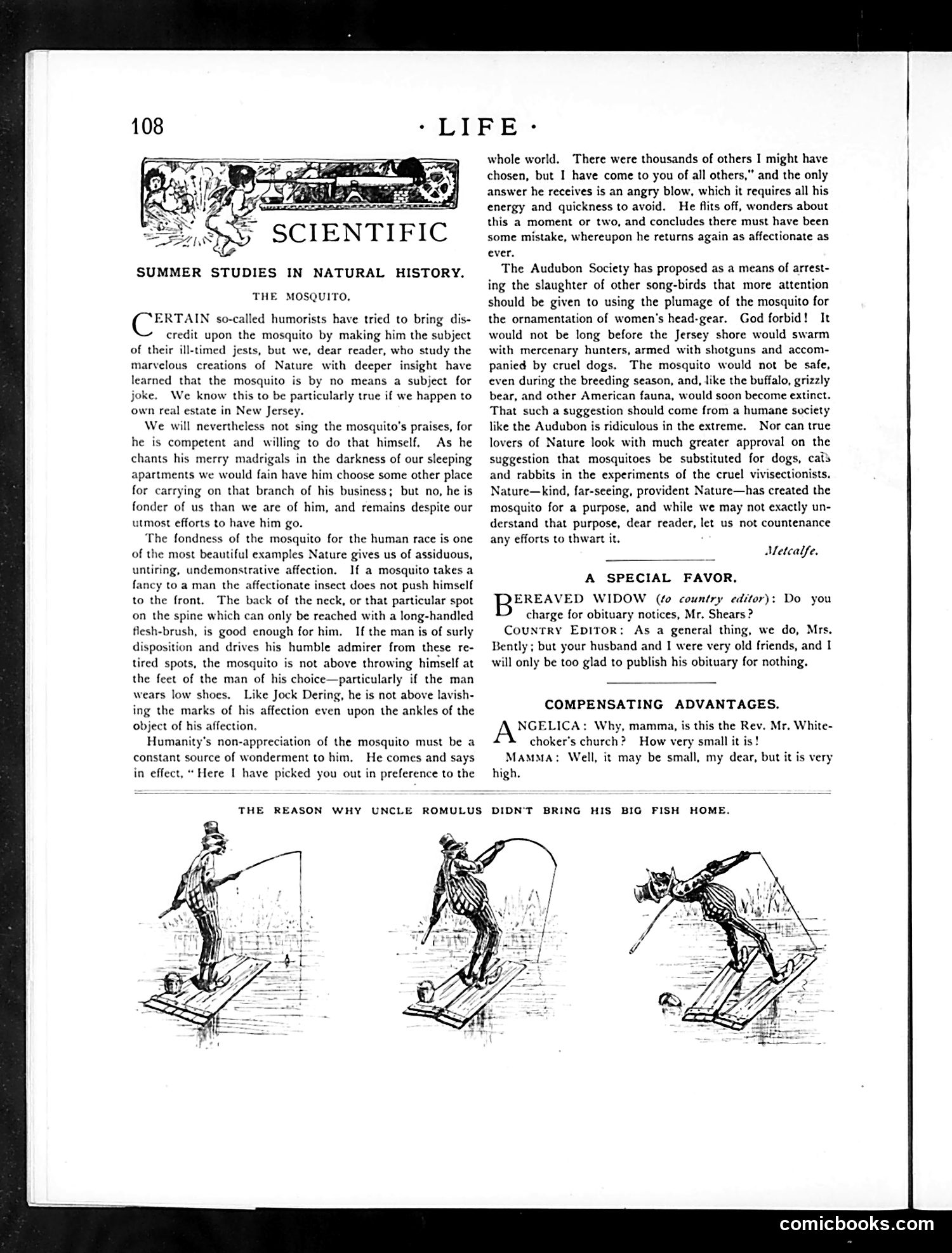 Life — August 23, 1888 — page 10 of 14