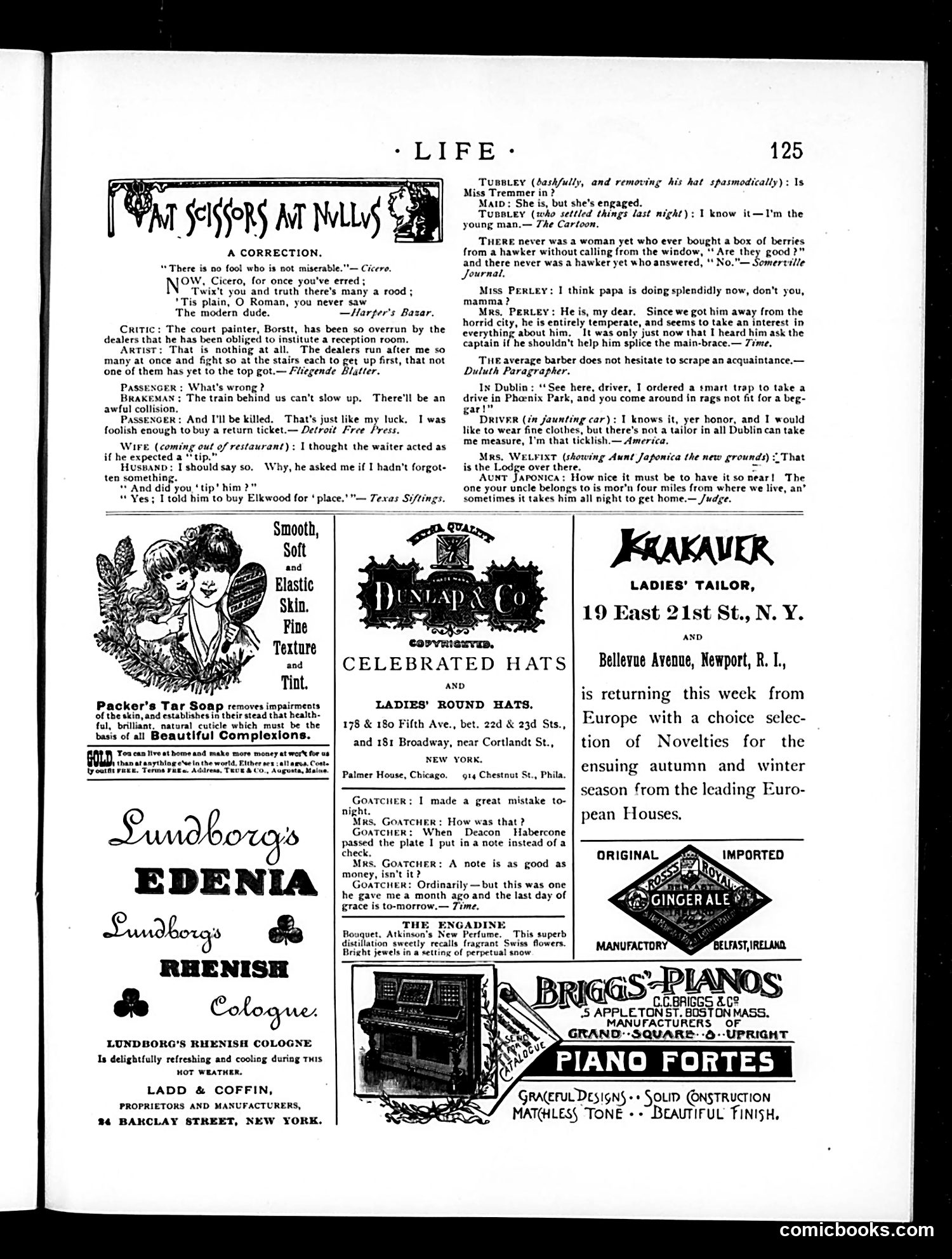 Life — August 30, 1888 — page 13 of 14