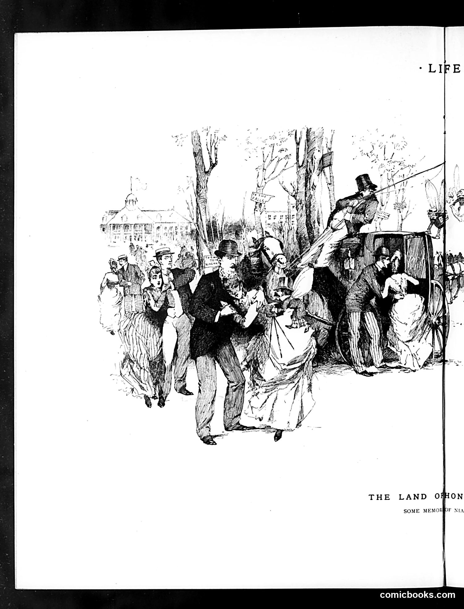 Life — October 11, 1888 — page 8 of 14
