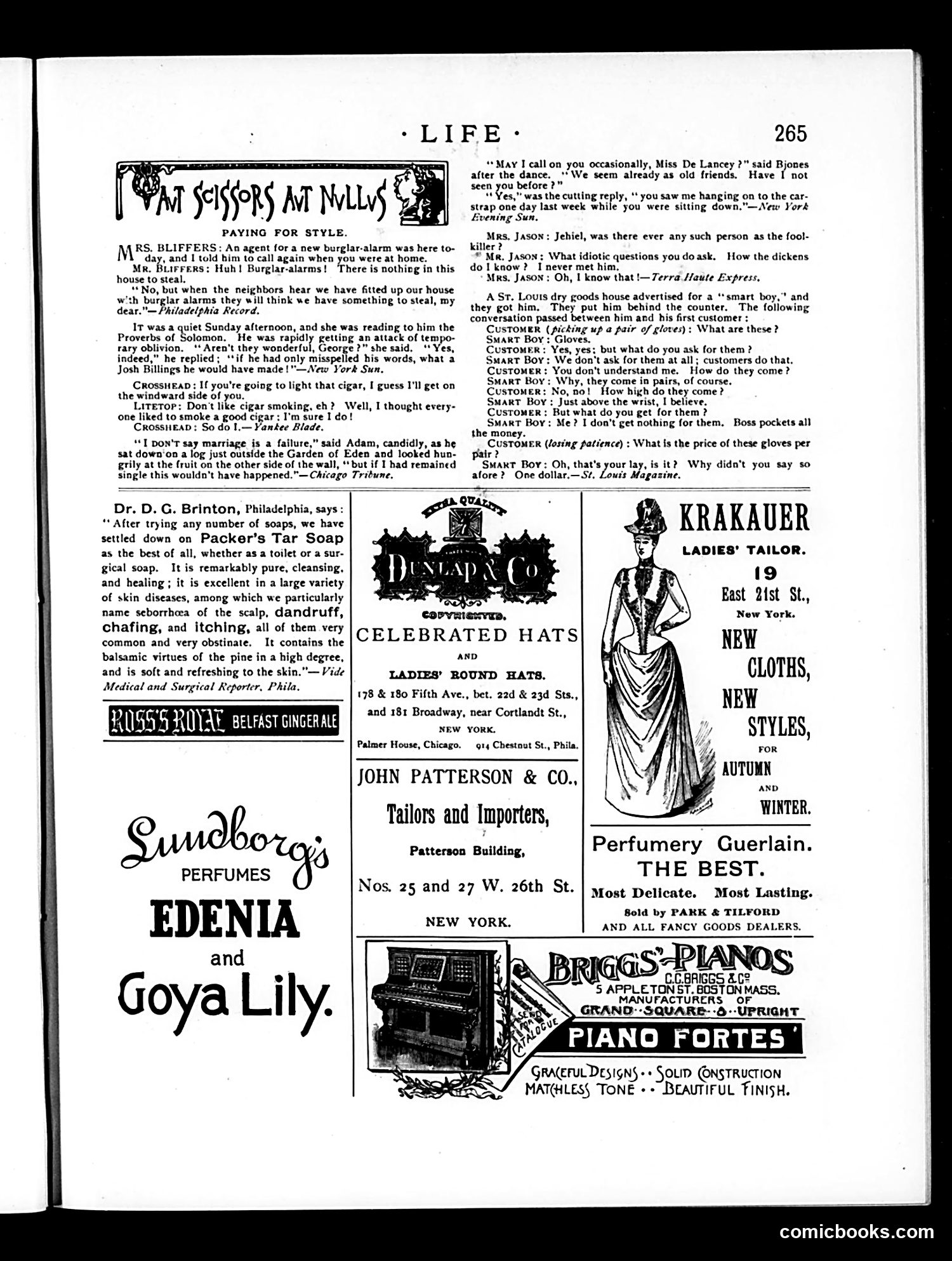 Life — November 8, 1888 — page 13 of 14