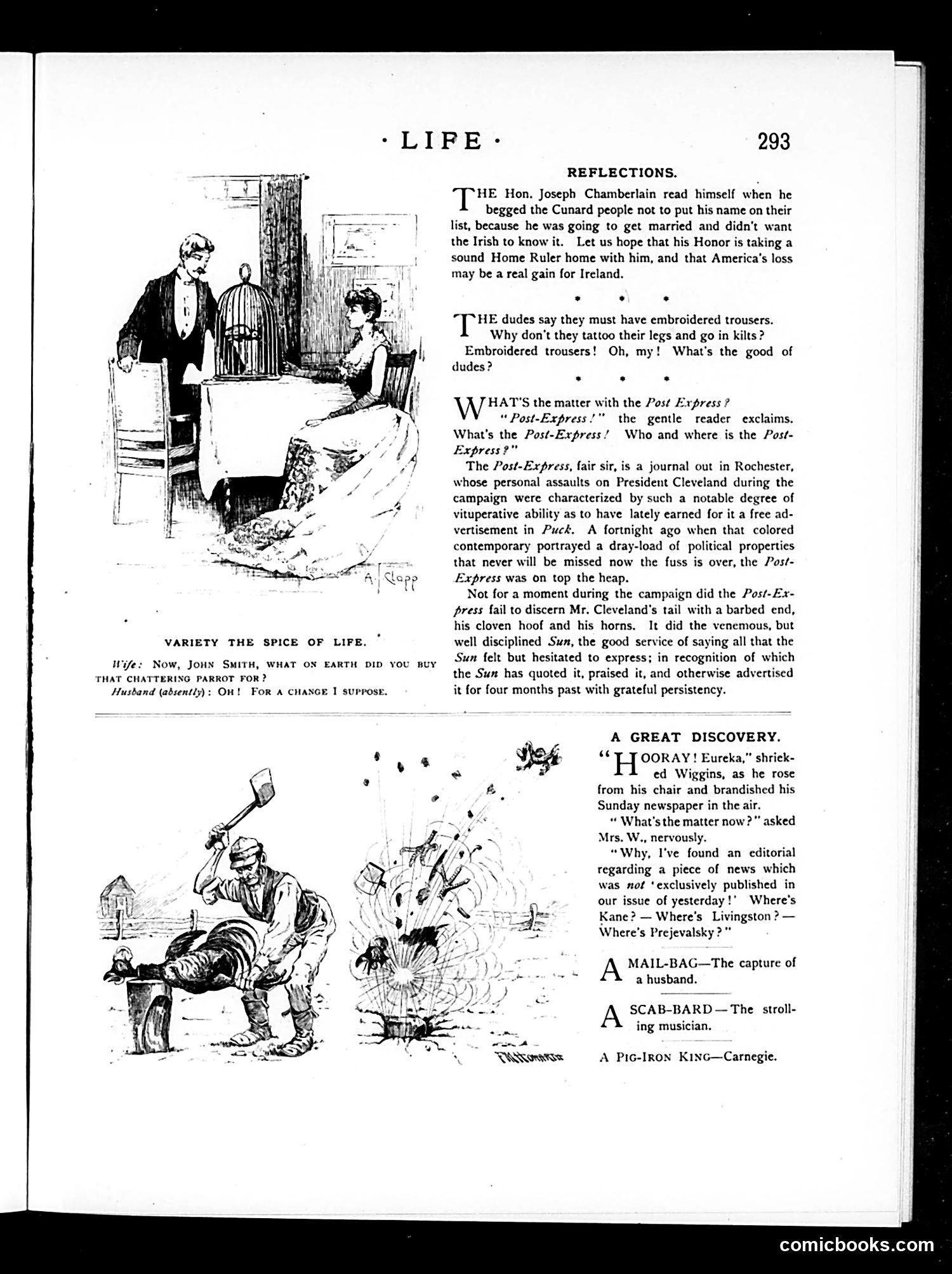 Life — November 22, 1888 — page 11 of 14
