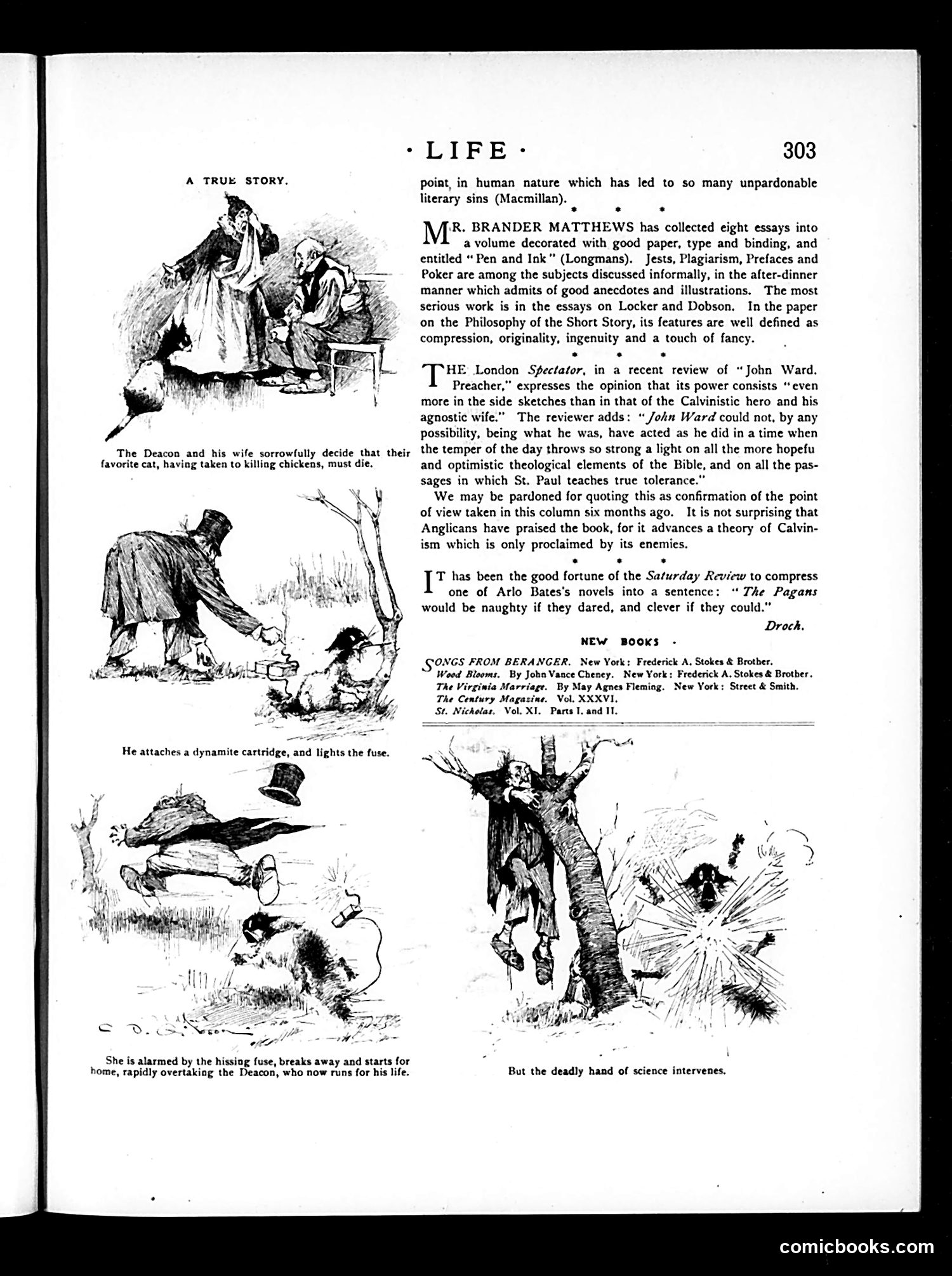 Life — November 29, 1888 — page 7 of 14