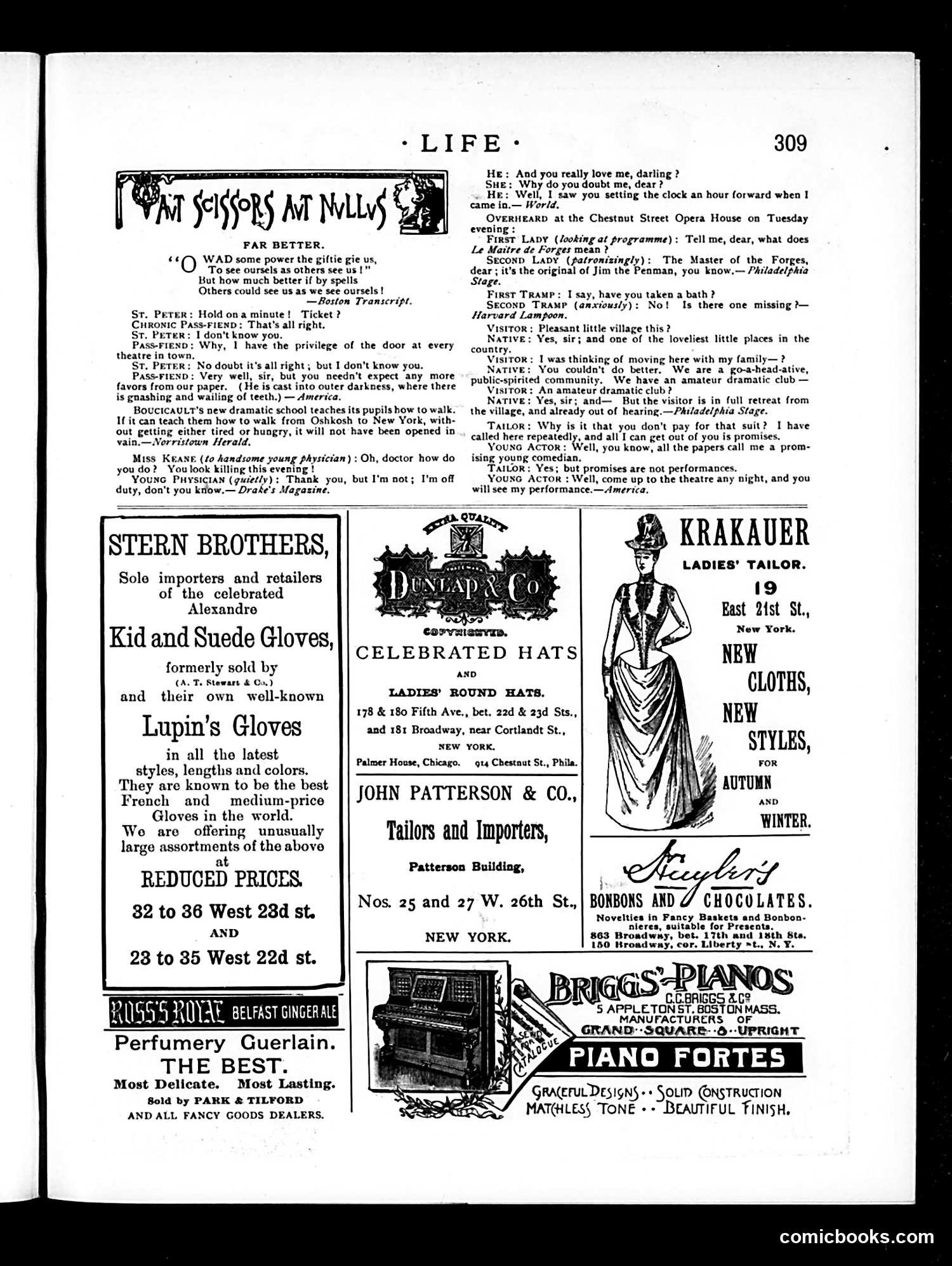Life — November 29, 1888 — page 13 of 14