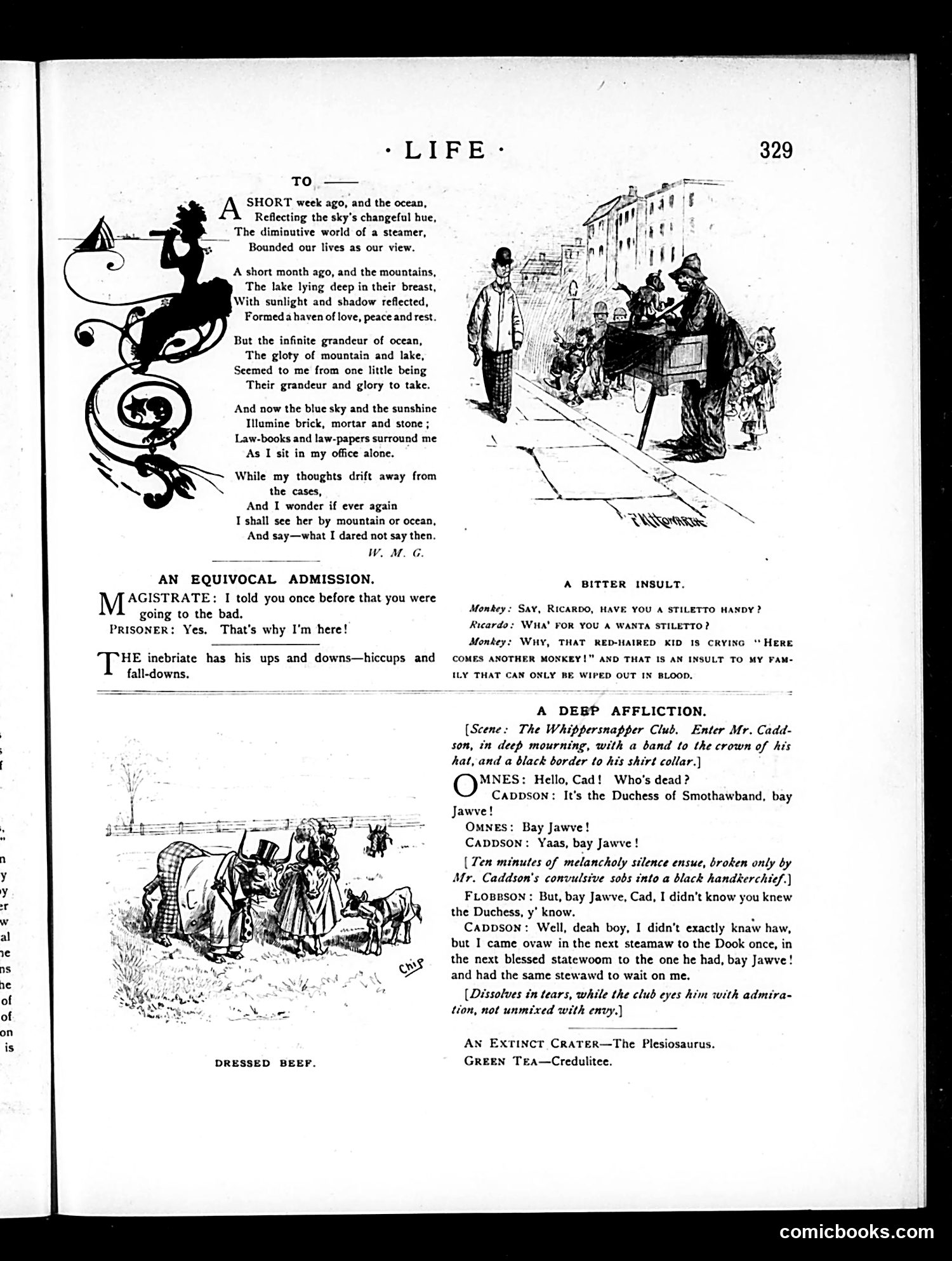 Life — December 13, 1888 — page 3 of 14