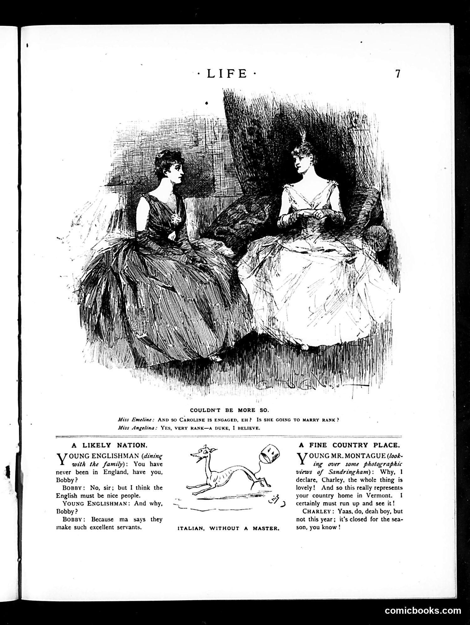 Life — December 27, 1888 — page 23 of 43