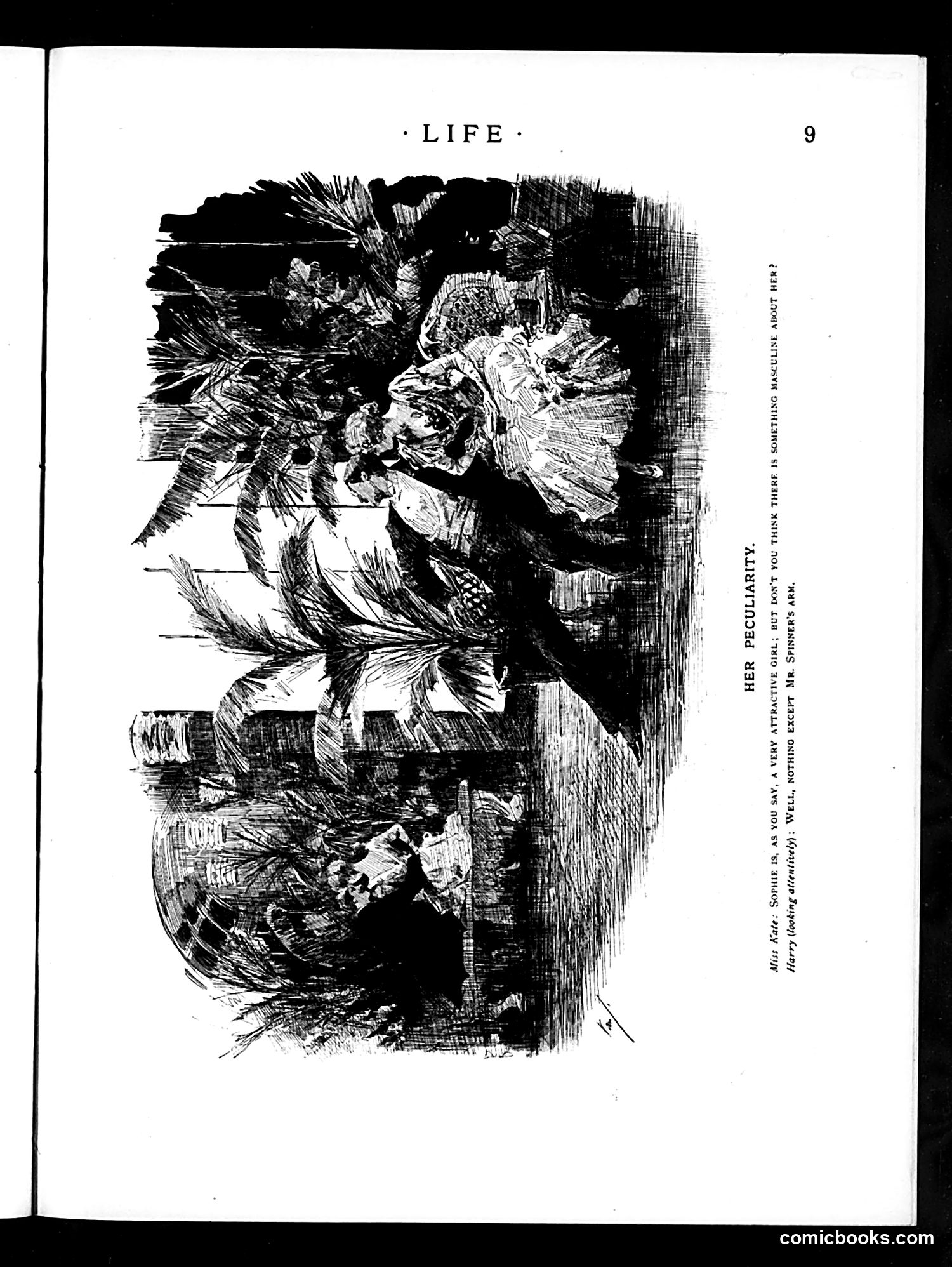 Life — December 27, 1888 — page 25 of 43