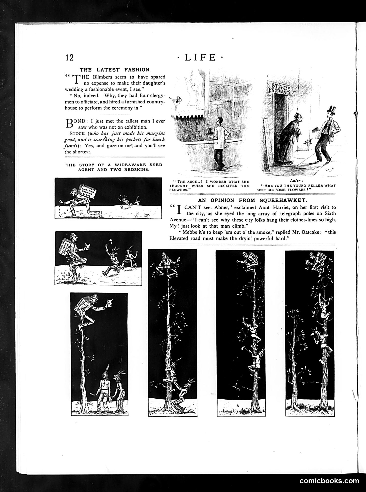 Life — December 27, 1888 — page 28 of 43