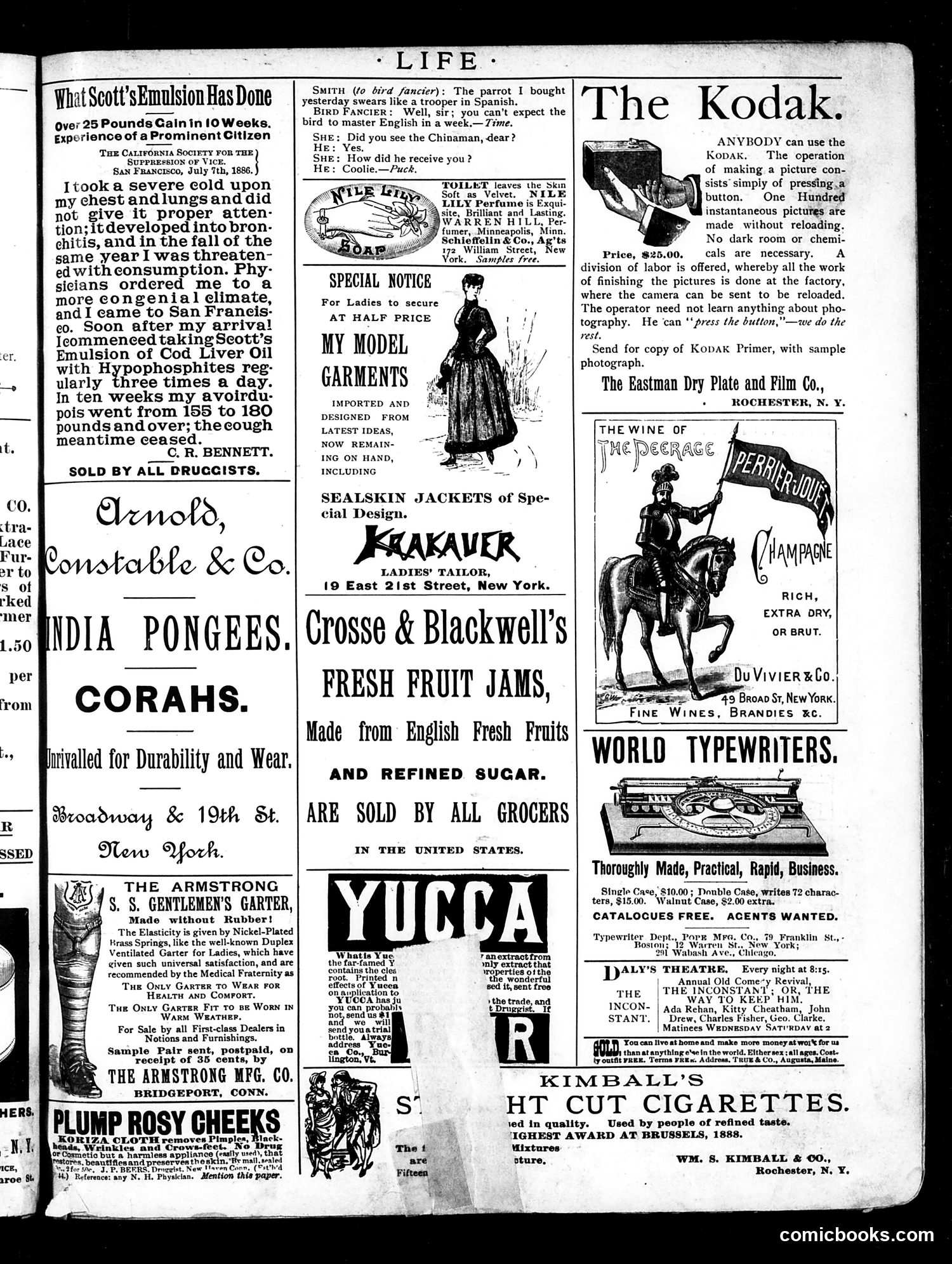 Life — January 17, 1889 — page 15 of 16