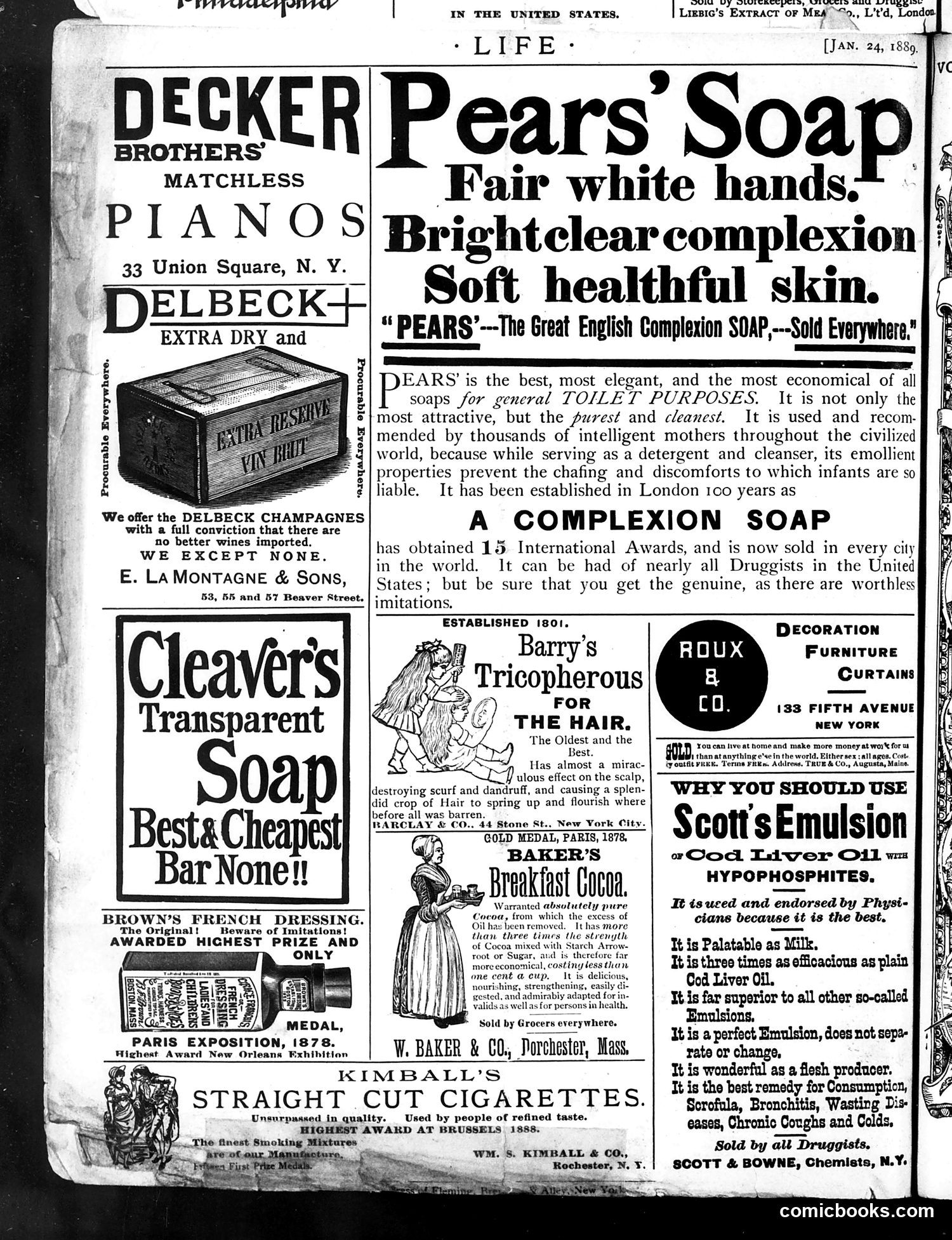 Life — January 24, 1889 — page 16 of 16