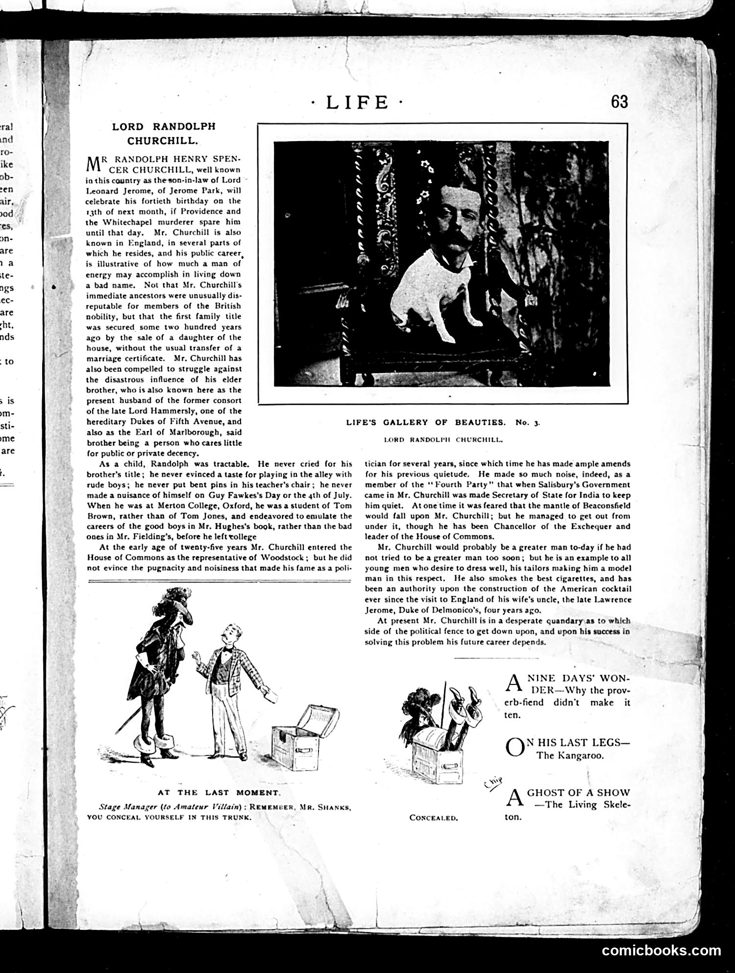 Life — January 31, 1889 — page 7 of 18