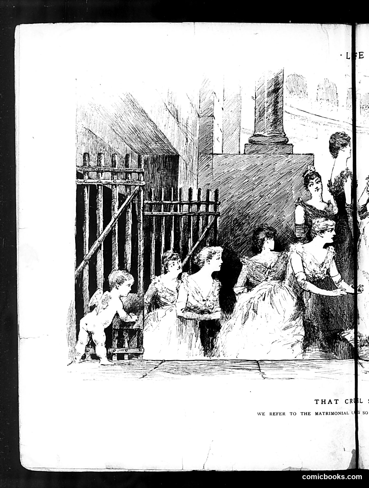 Life — January 31, 1889 — page 8 of 18
