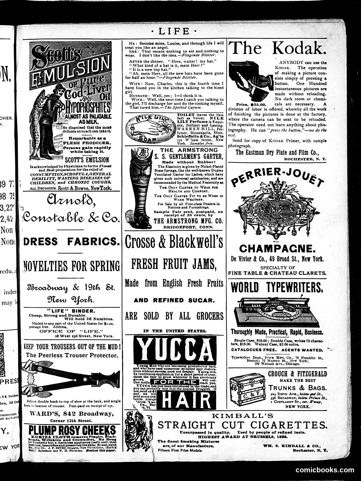 Life — January 31, 1889 — page 17 of 18