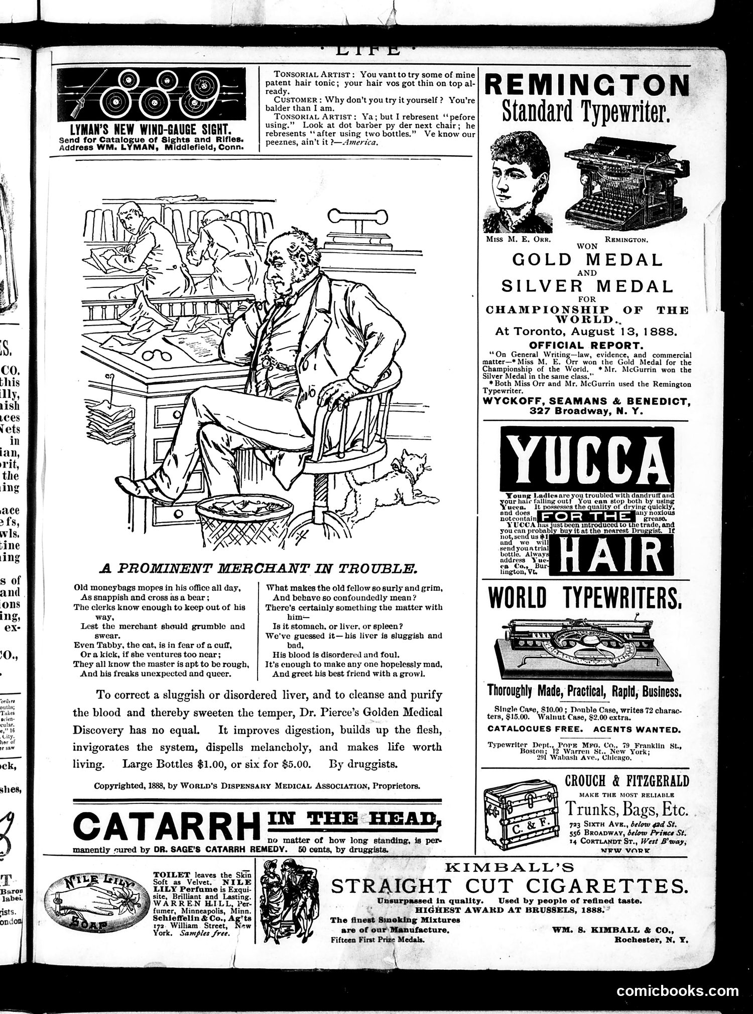 Life — February 14, 1889 — page 17 of 20