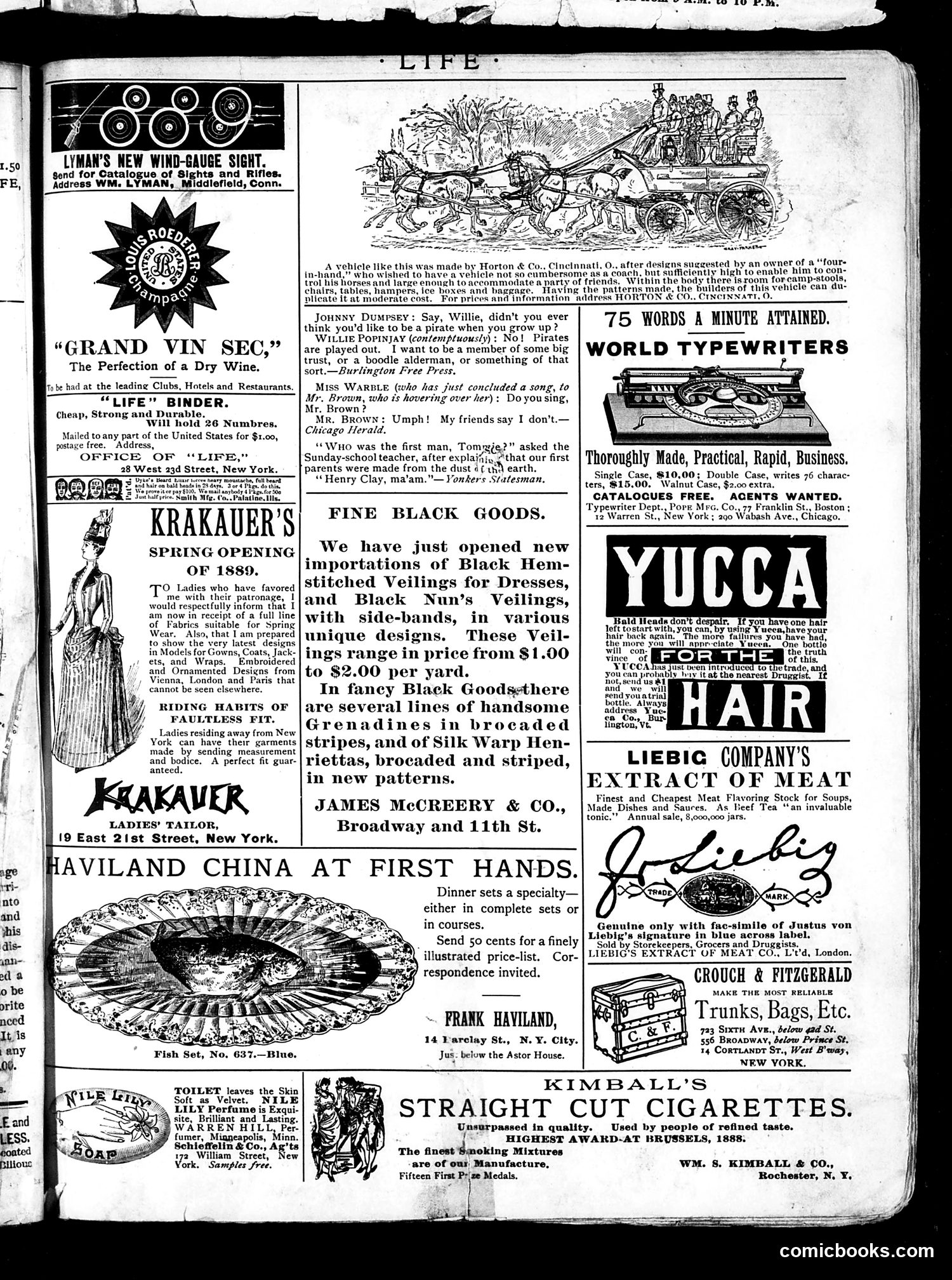 Life — February 28, 1889 — page 19 of 22