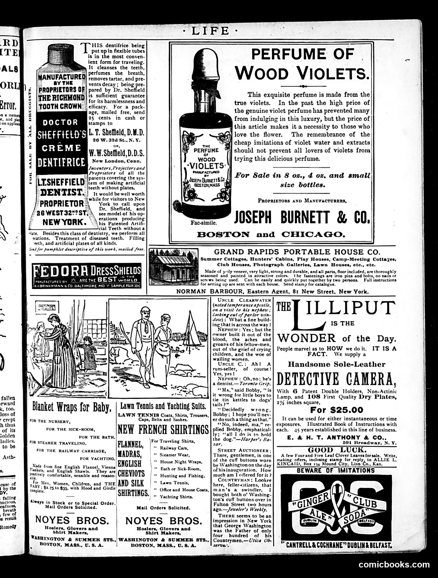 Life — May 9, 1889 — page 17 of 18